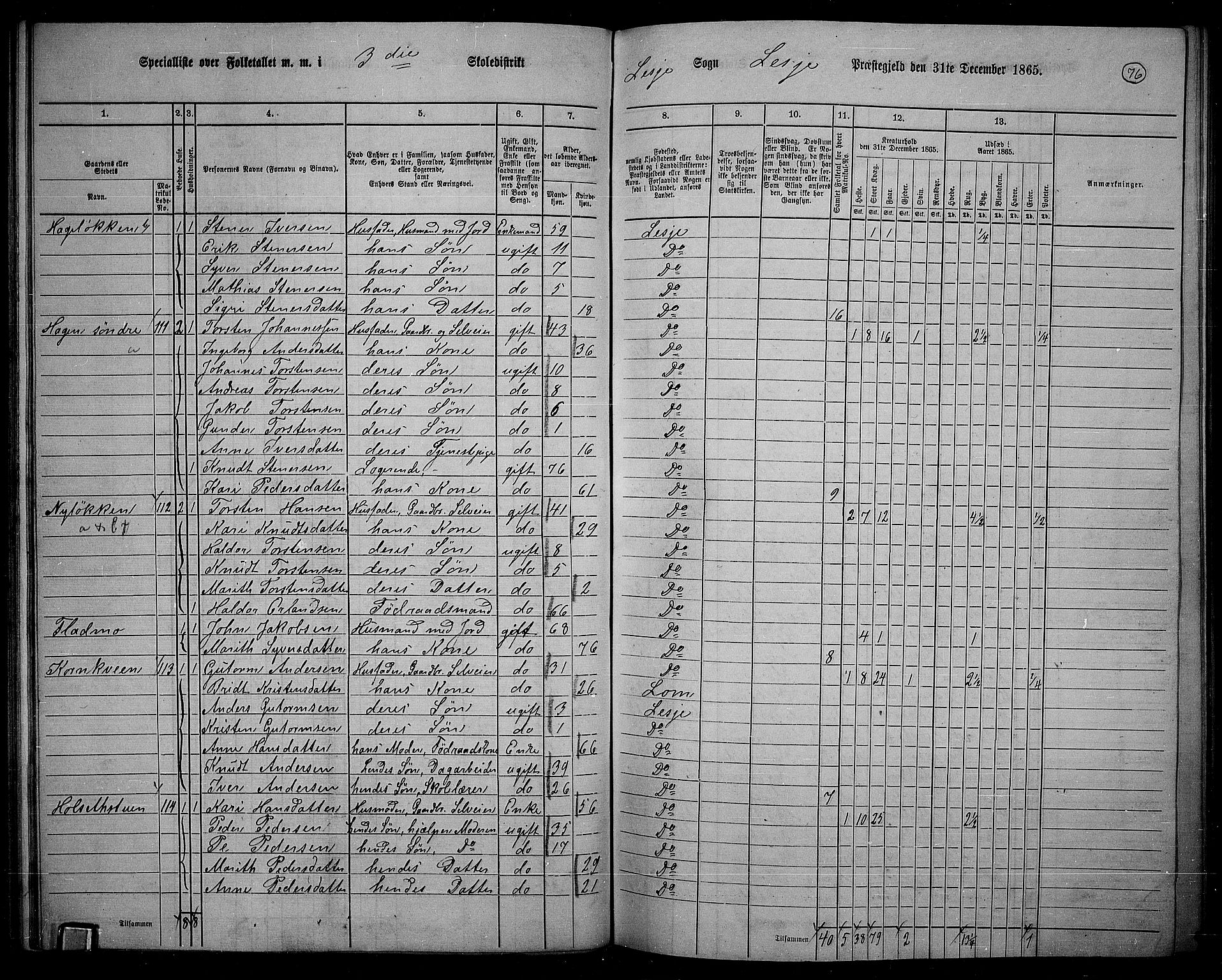 RA, 1865 census for Lesja, 1865, p. 66