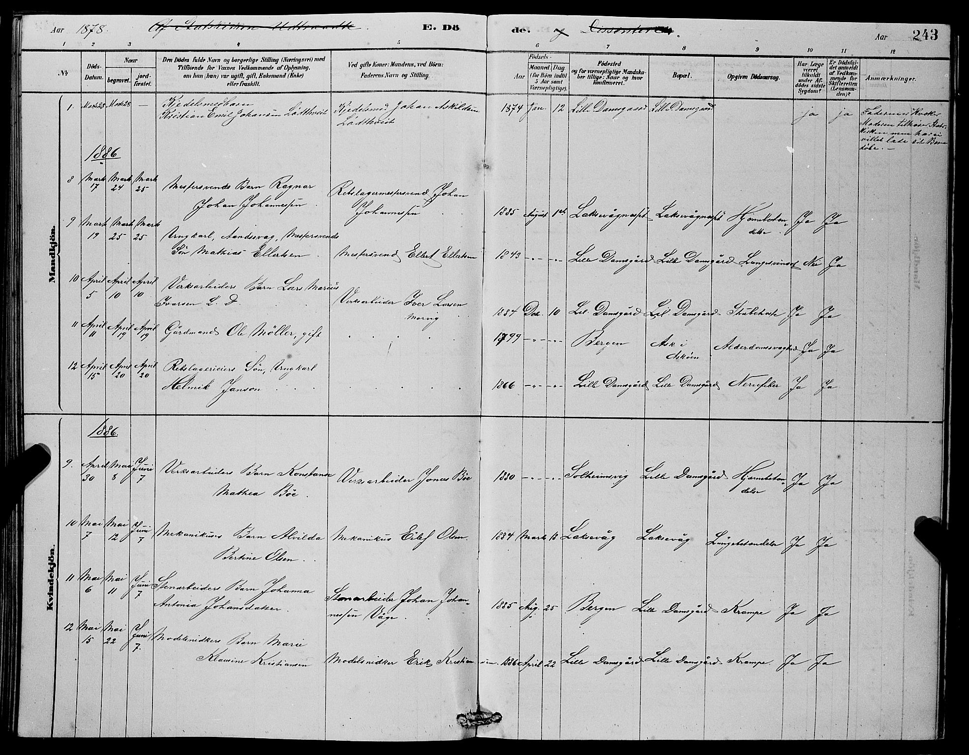 Laksevåg Sokneprestembete, SAB/A-76501/H/Ha/Hab/Haba/L0002: Parish register (copy) no. A 2, 1877-1887, p. 243