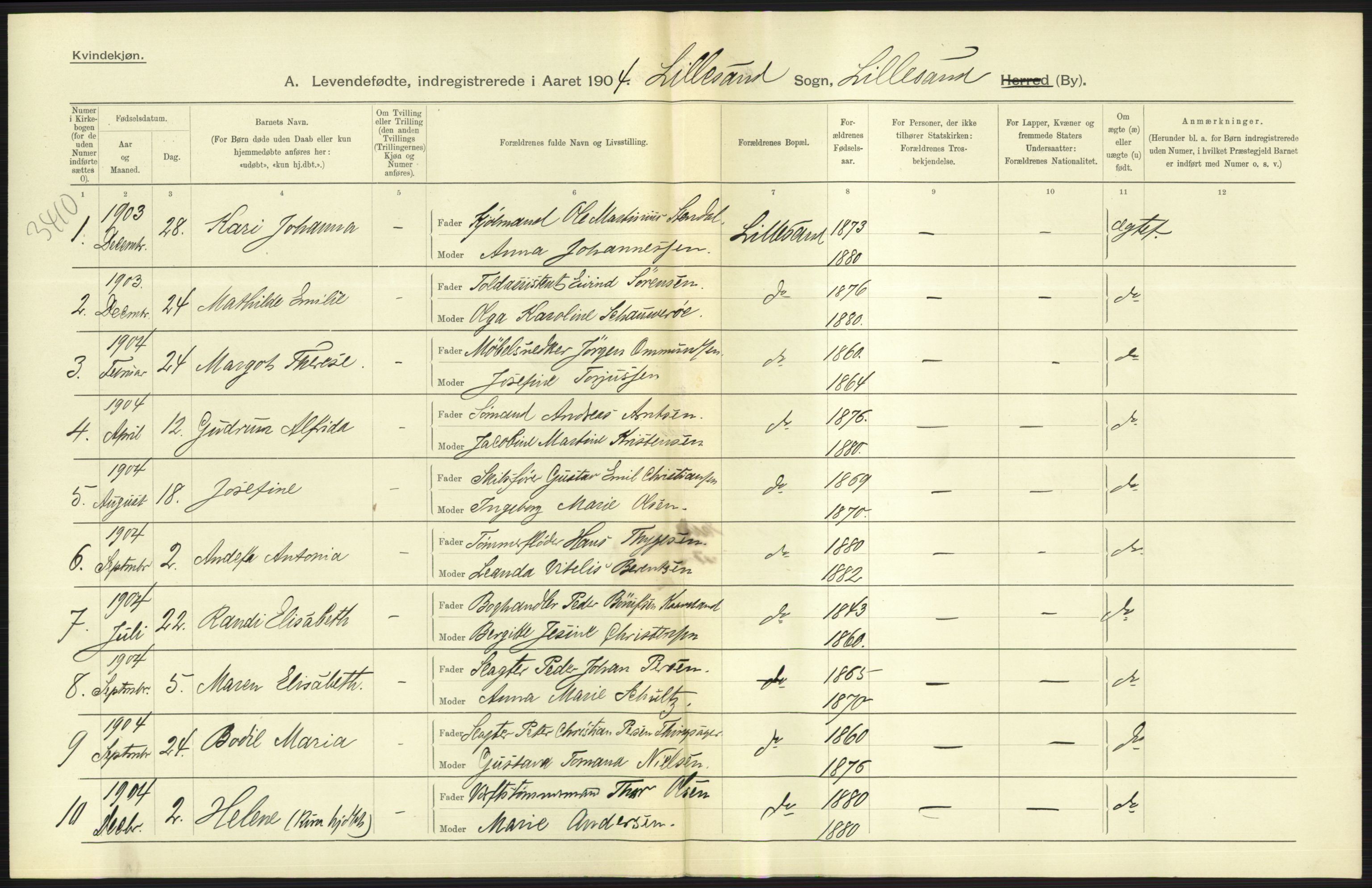 Statistisk sentralbyrå, Sosiodemografiske emner, Befolkning, AV/RA-S-2228/D/Df/Dfa/Dfab/L0010: Nedenes amt: Fødte, gifte, døde, 1904, p. 247