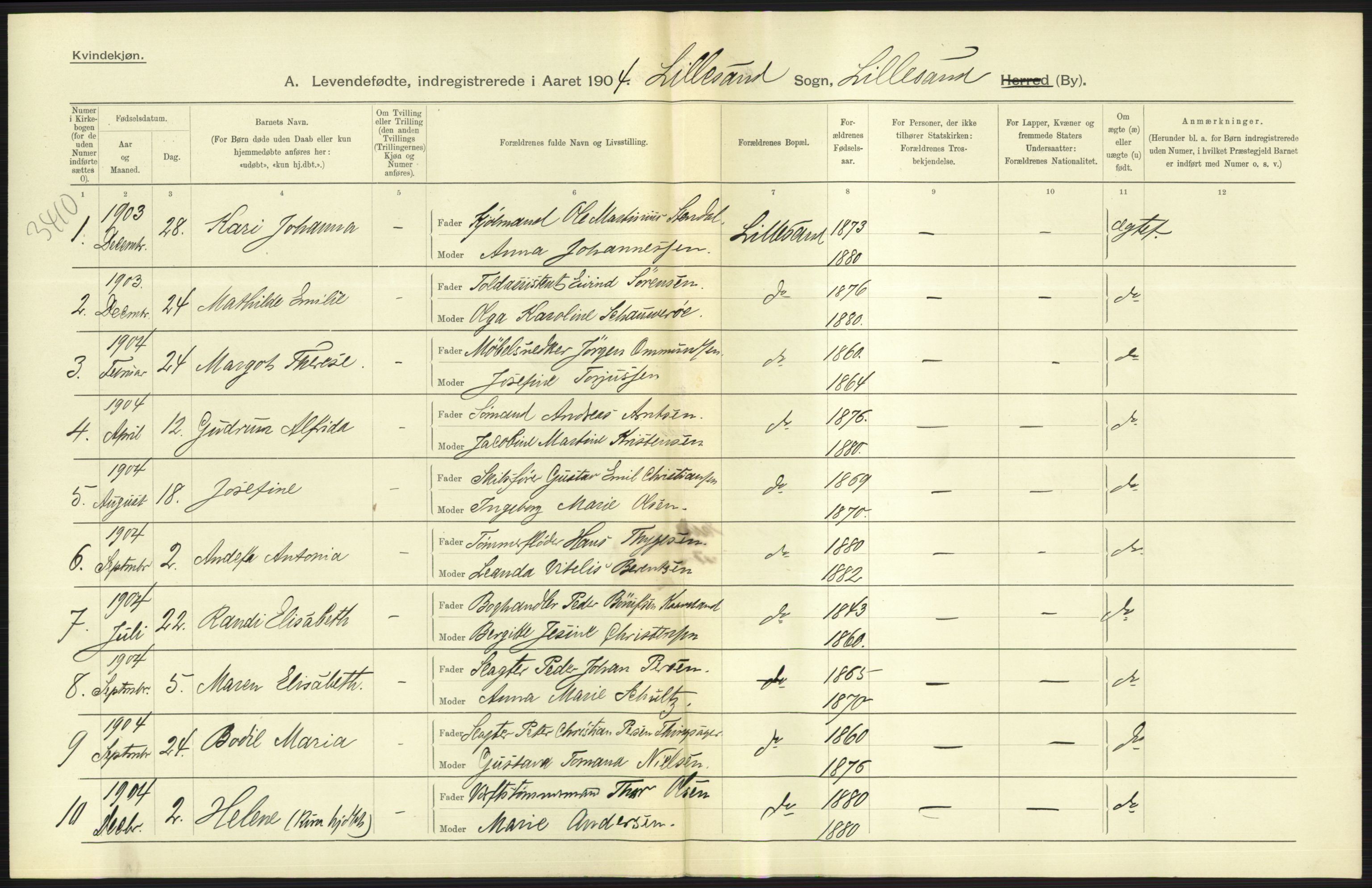 Statistisk sentralbyrå, Sosiodemografiske emner, Befolkning, RA/S-2228/D/Df/Dfa/Dfab/L0010: Nedenes amt: Fødte, gifte, døde, 1904, p. 247