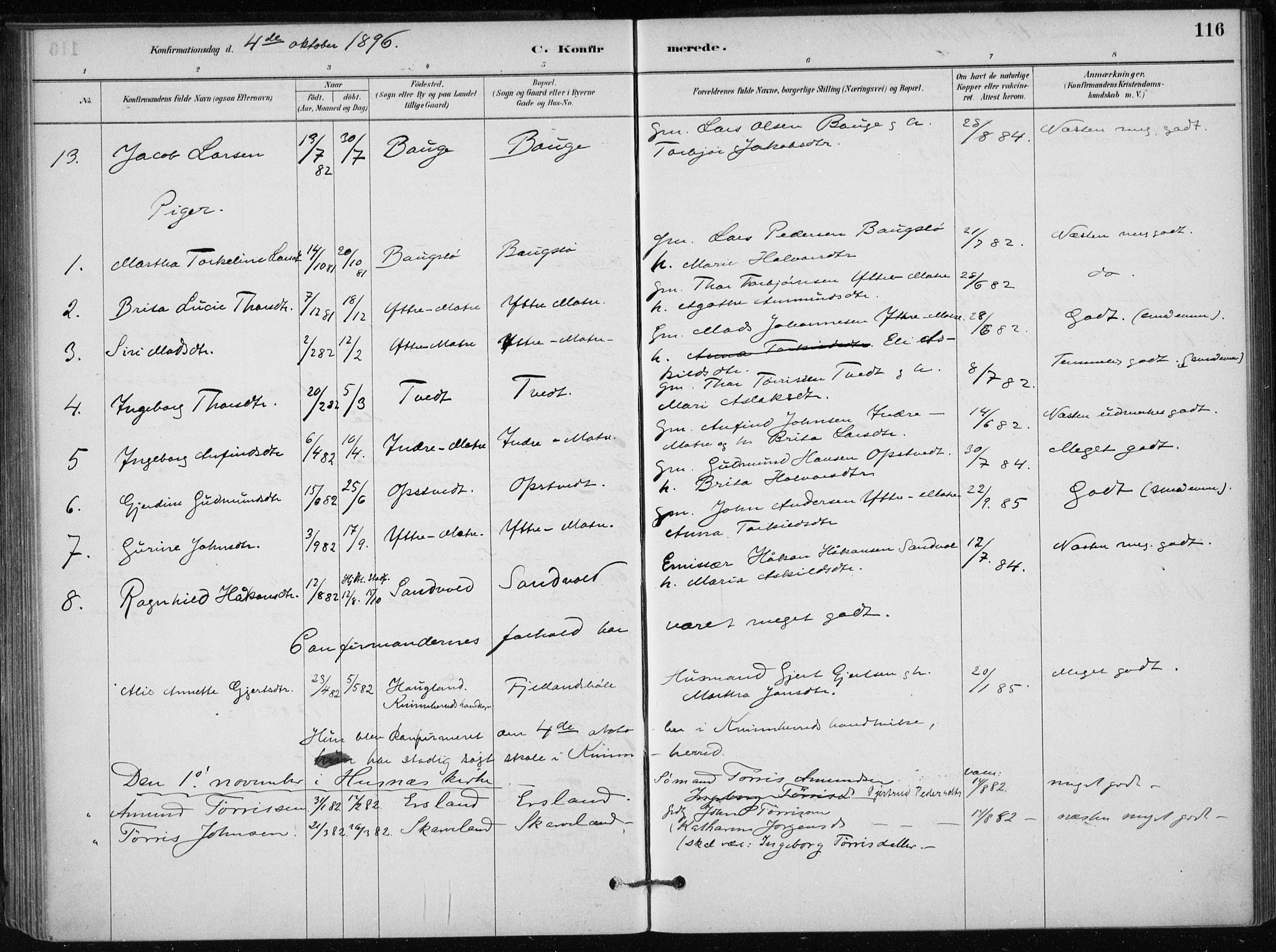 Skånevik sokneprestembete, AV/SAB-A-77801/H/Haa: Parish register (official) no. C  1, 1879-1917, p. 116