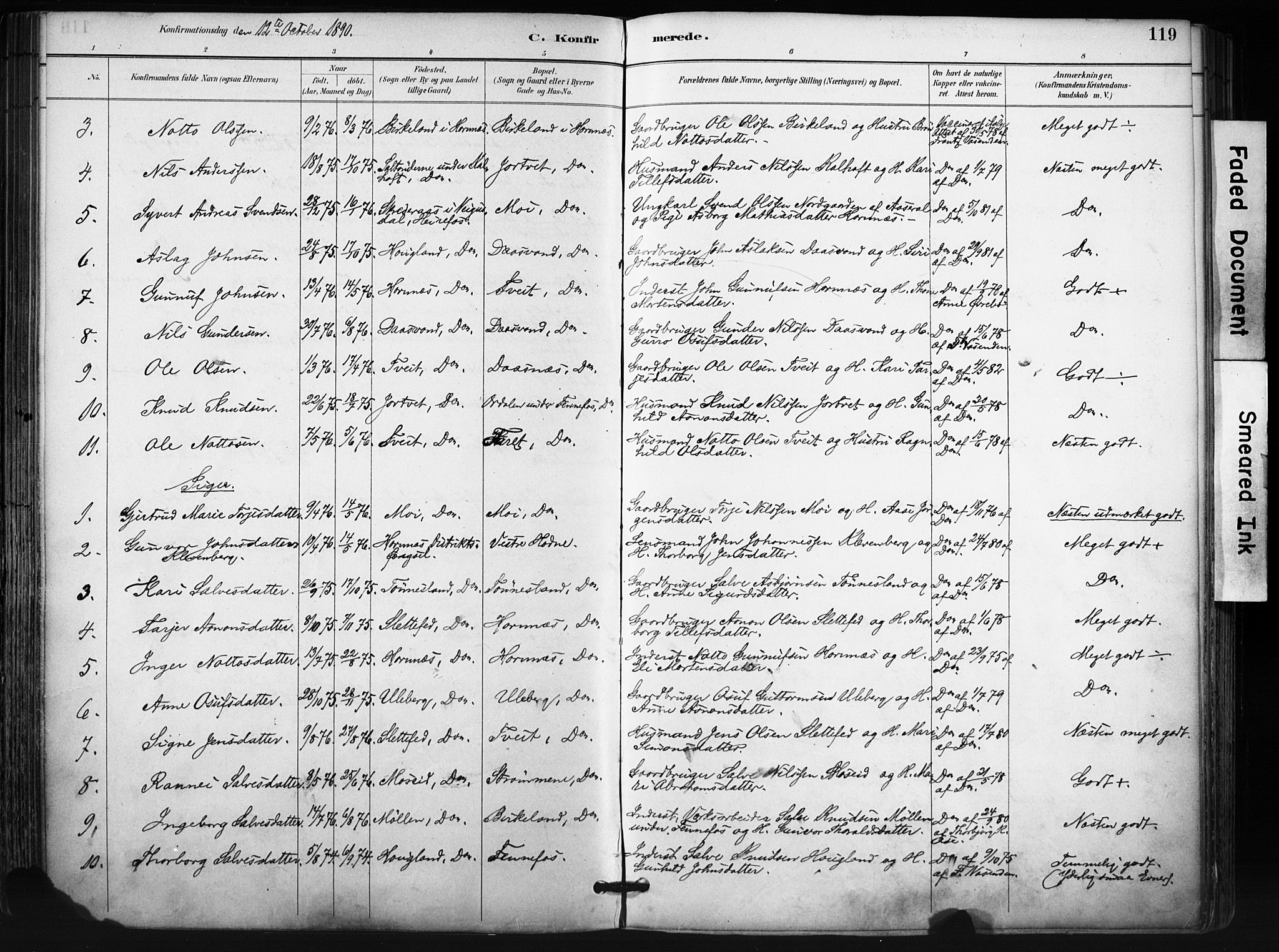 Evje sokneprestkontor, SAK/1111-0008/F/Fa/Fab/L0003: Parish register (official) no. A 3, 1884-1909, p. 119