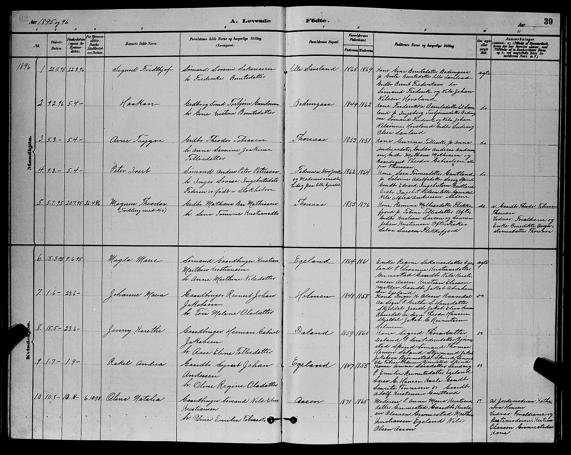 Herad sokneprestkontor, AV/SAK-1111-0018/F/Fb/Fba/L0004: Parish register (copy) no. B 4, 1882-1899, p. 39