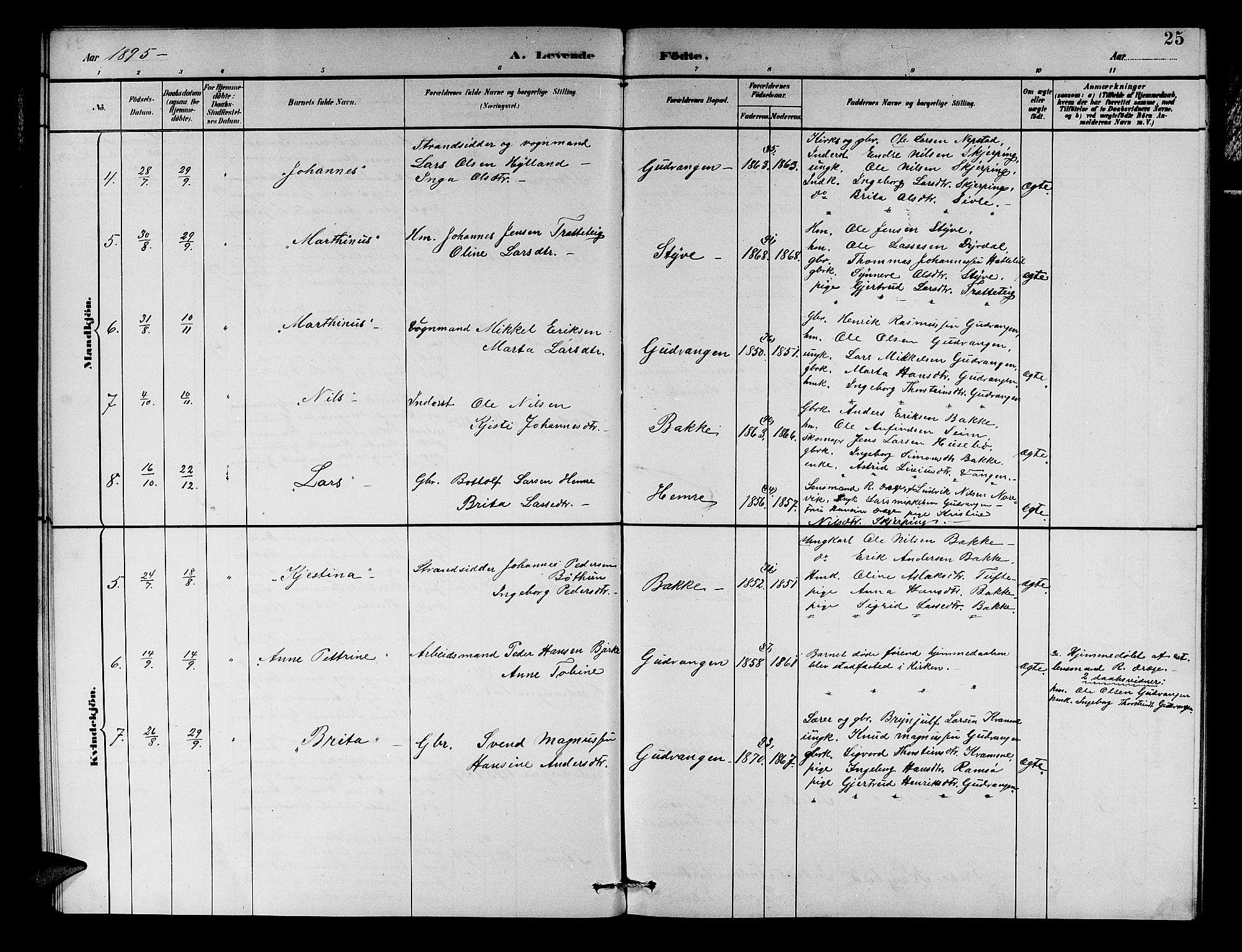 Aurland sokneprestembete, SAB/A-99937/H/Hb/Hbc/L0002: Parish register (copy) no. C 2, 1883-1900, p. 25