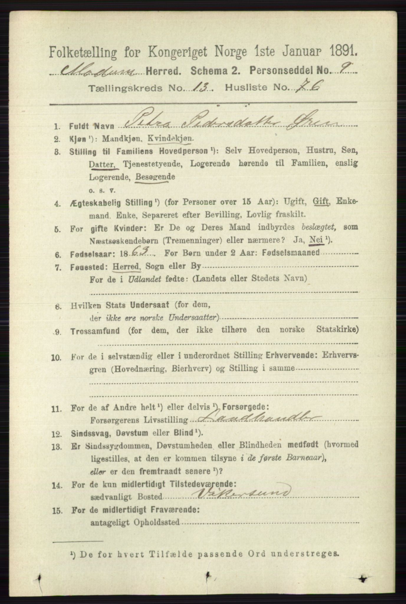 RA, 1891 census for 0623 Modum, 1891, p. 5346