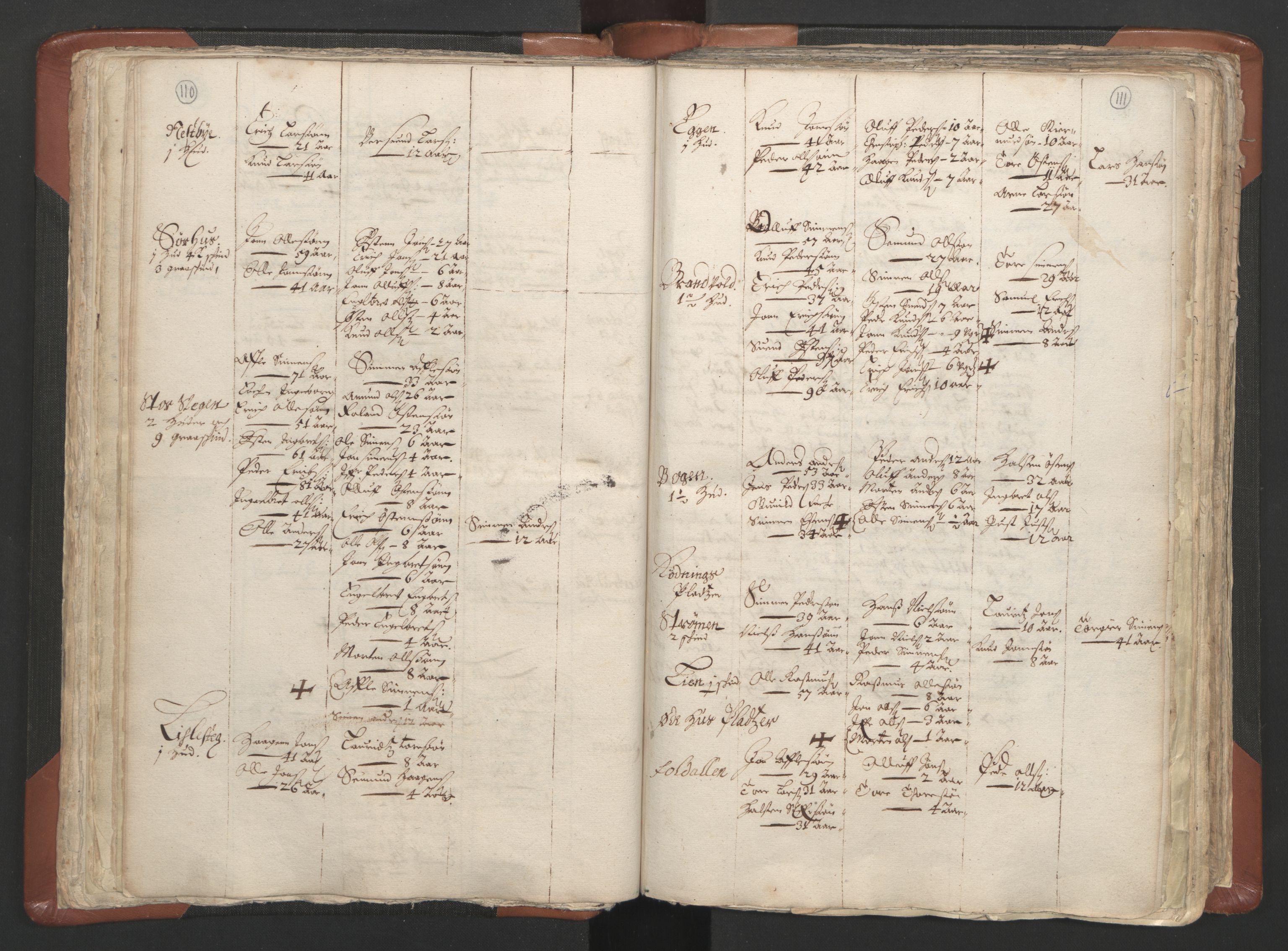 RA, Vicar's Census 1664-1666, no. 5: Hedmark deanery, 1664-1666, p. 110-111