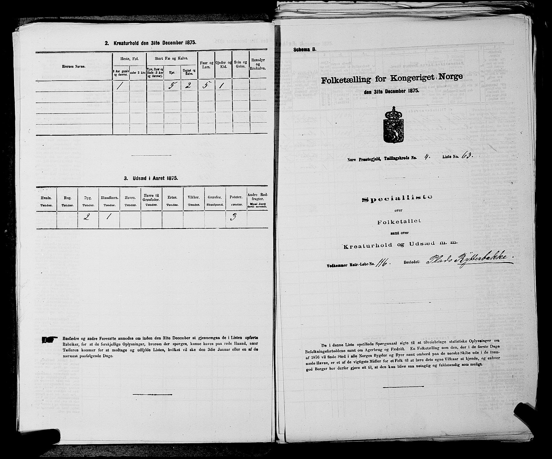 SAKO, 1875 census for 0633P Nore, 1875, p. 494