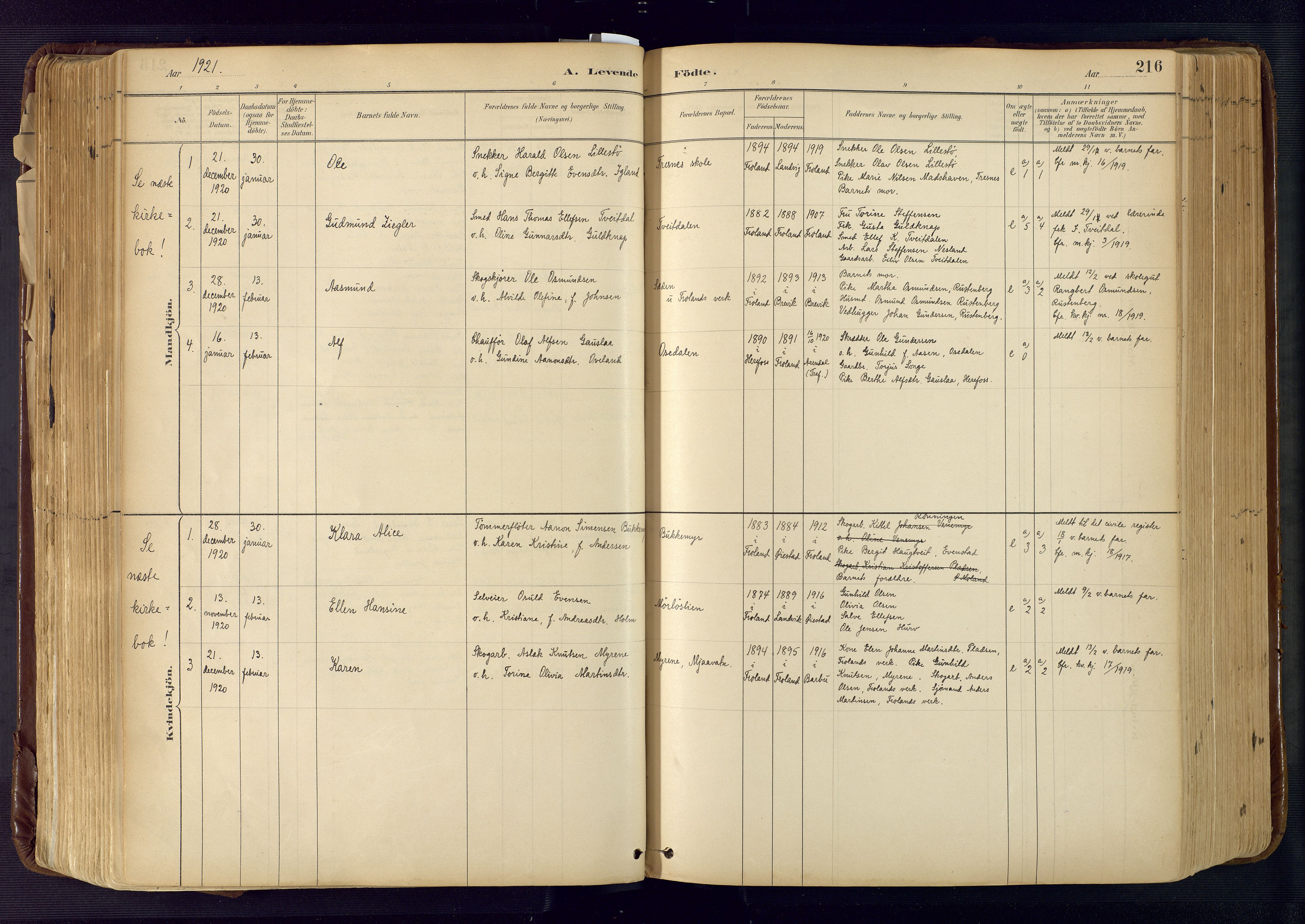 Froland sokneprestkontor, SAK/1111-0013/F/Fa/L0005: Parish register (official) no. A 5, 1882-1921, p. 216