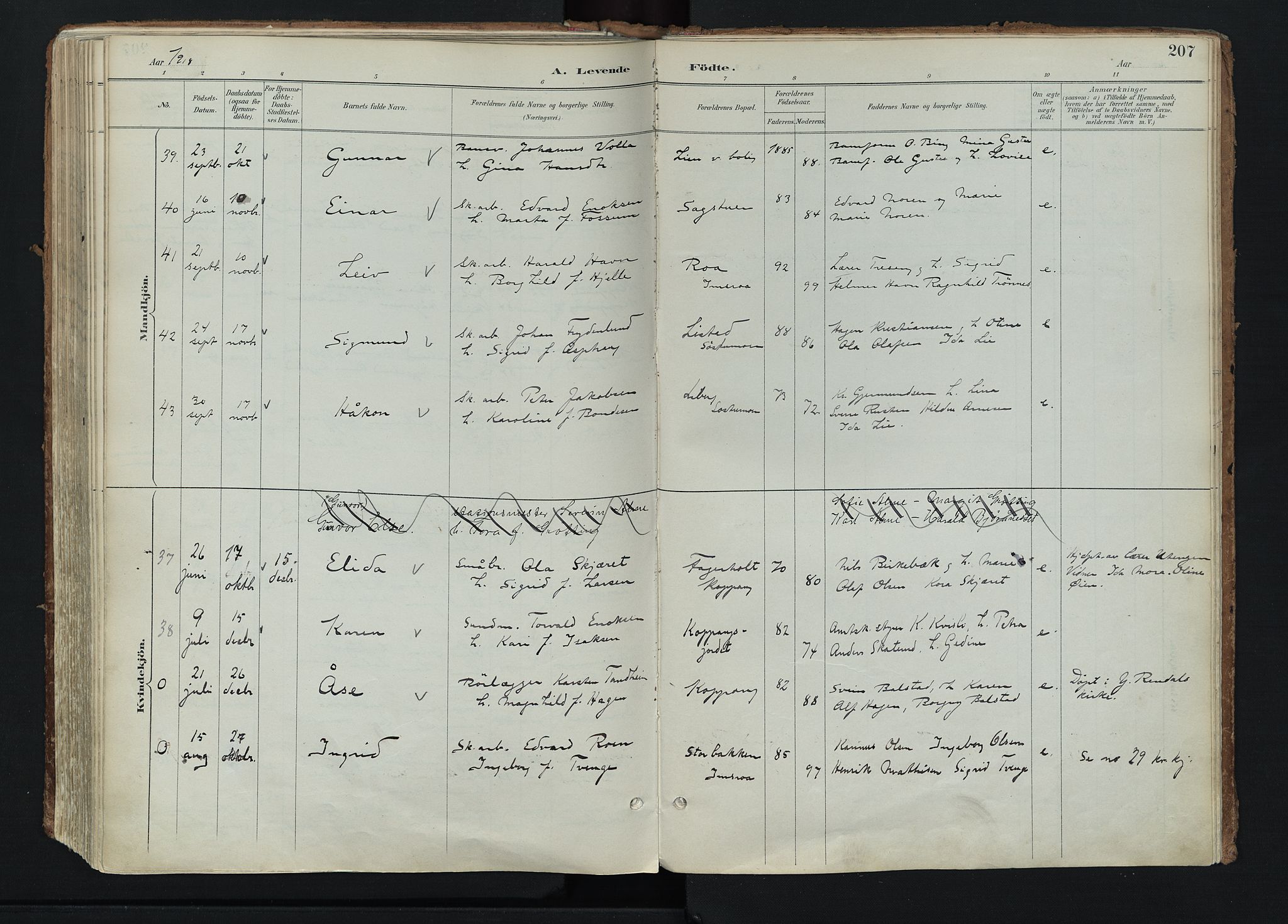 Stor-Elvdal prestekontor, AV/SAH-PREST-052/H/Ha/Haa/L0004: Parish register (official) no. 4, 1890-1922, p. 207