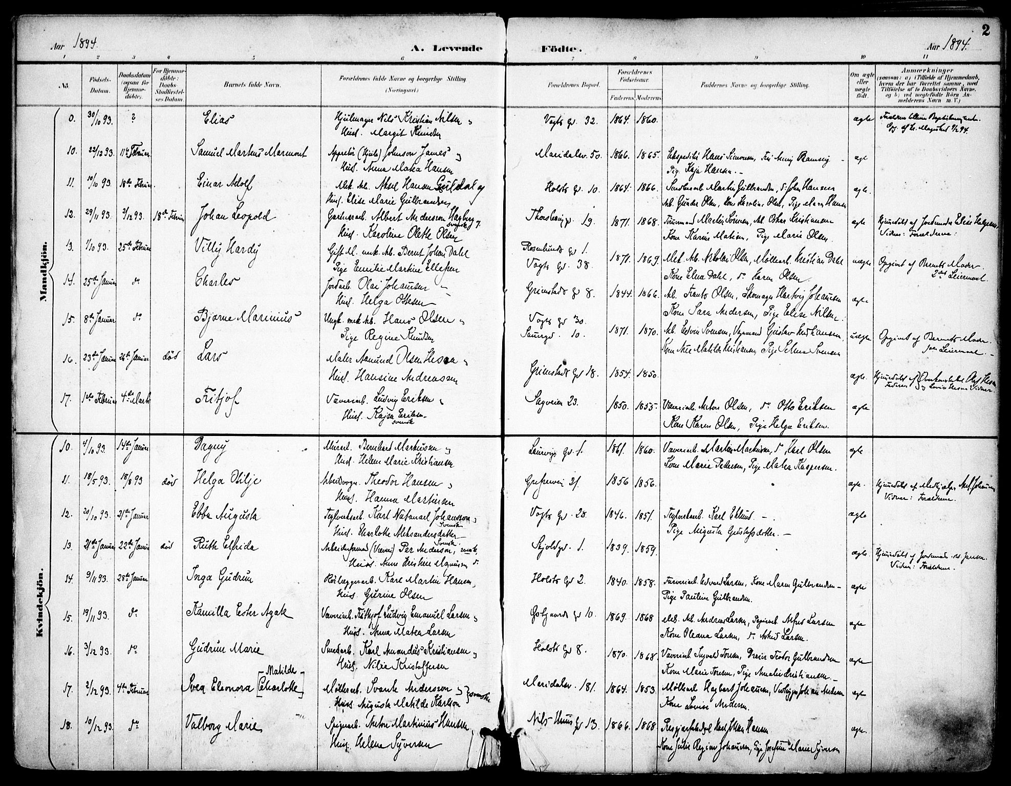 Sagene prestekontor Kirkebøker, SAO/A-10796/F/L0004: Parish register (official) no. 4, 1894-1904, p. 2