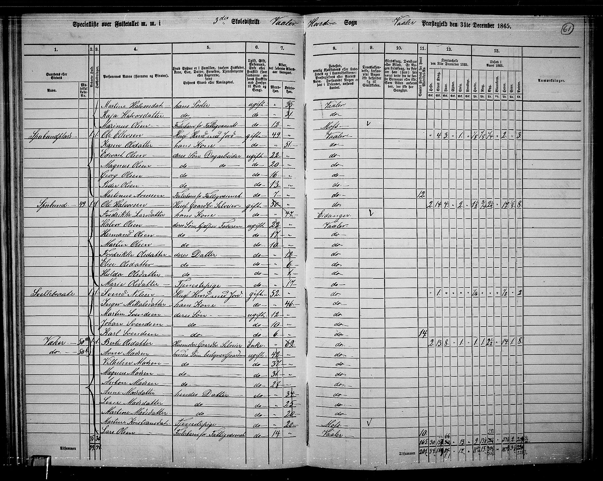 RA, 1865 census for Våler, 1865, p. 56