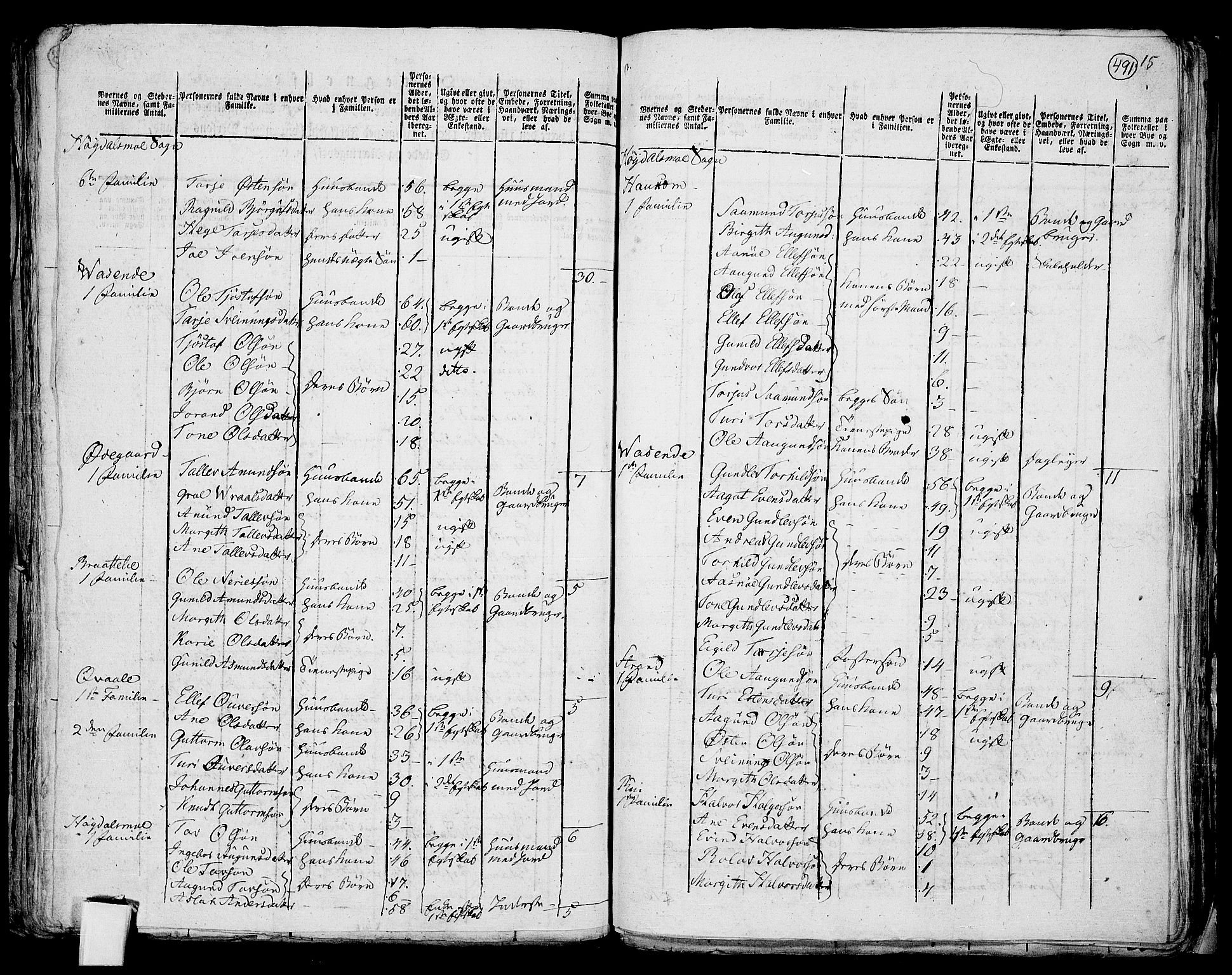 RA, 1801 census for 0833P Lårdal, 1801, p. 490b-491a
