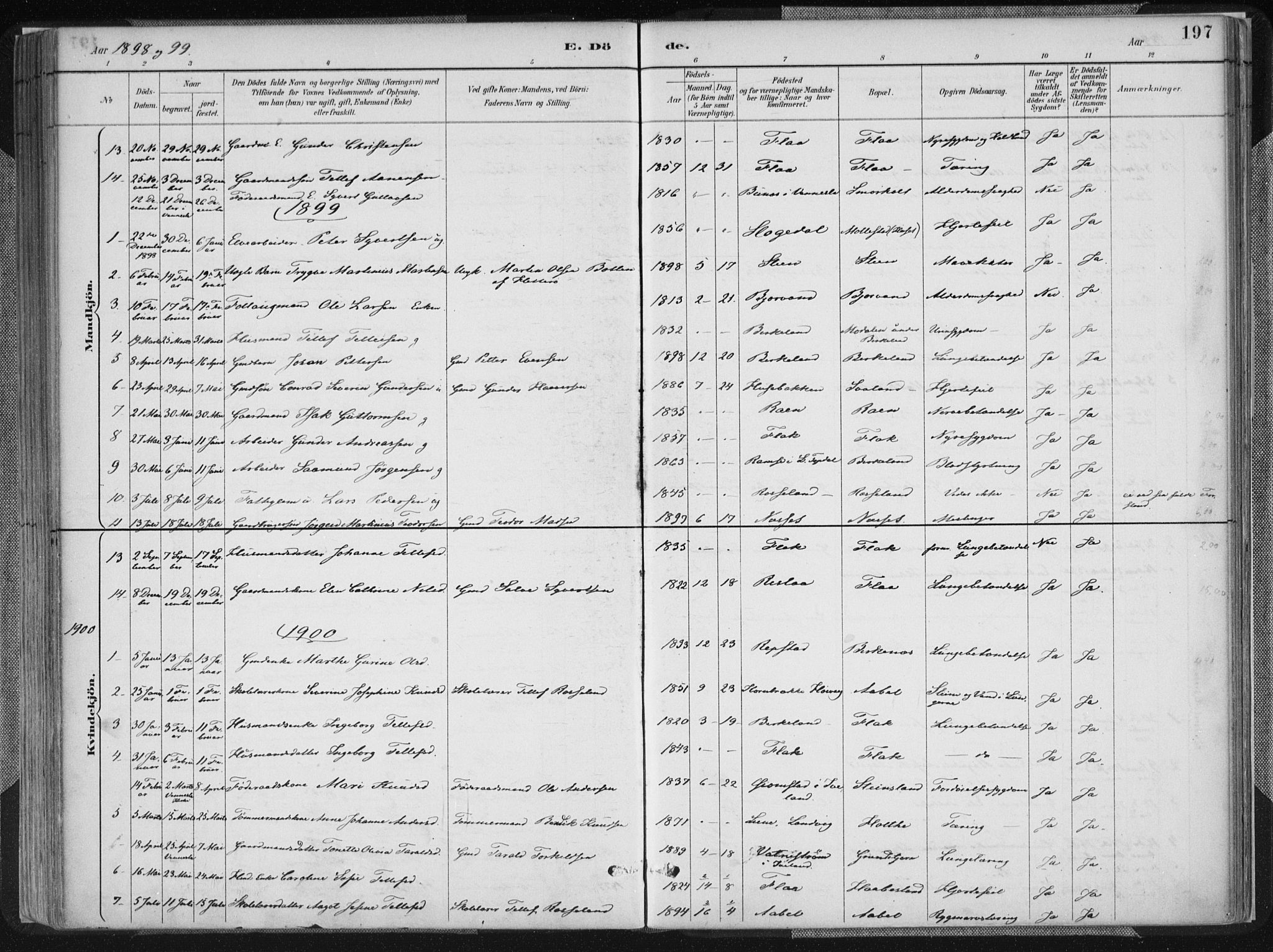 Birkenes sokneprestkontor, SAK/1111-0004/F/Fa/L0005: Parish register (official) no. A 5, 1887-1907, p. 197