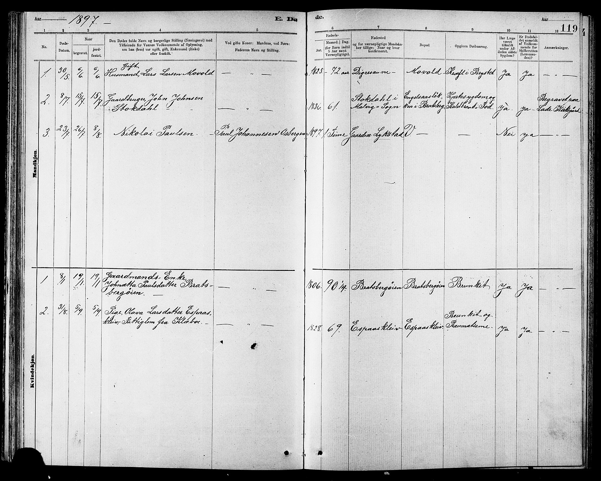 Ministerialprotokoller, klokkerbøker og fødselsregistre - Sør-Trøndelag, SAT/A-1456/608/L0341: Parish register (copy) no. 608C07, 1890-1912, p. 119