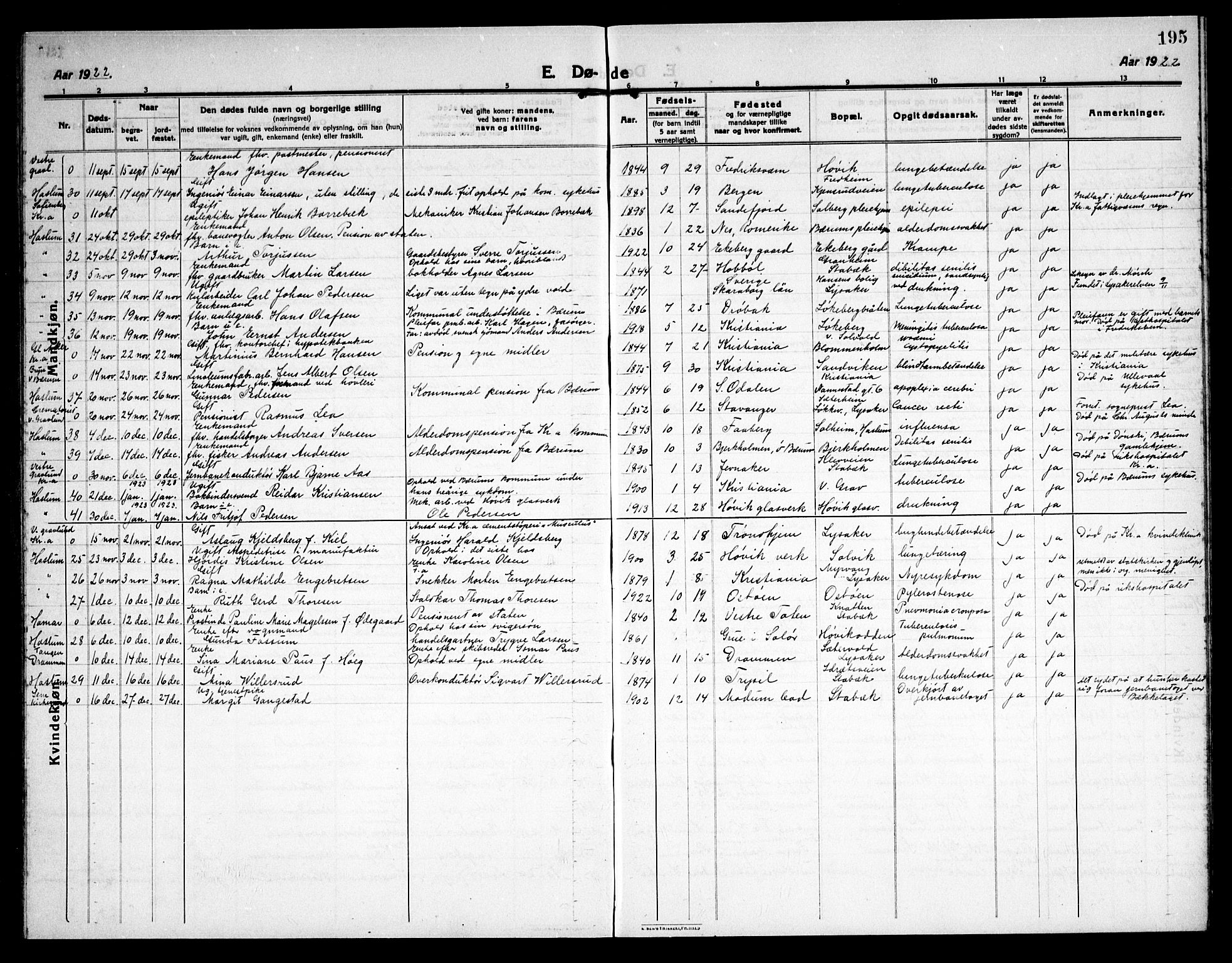 Østre Bærum prestekontor Kirkebøker, AV/SAO-A-10887/G/Ga/L0002: Parish register (copy) no. 2, 1912-1929, p. 195