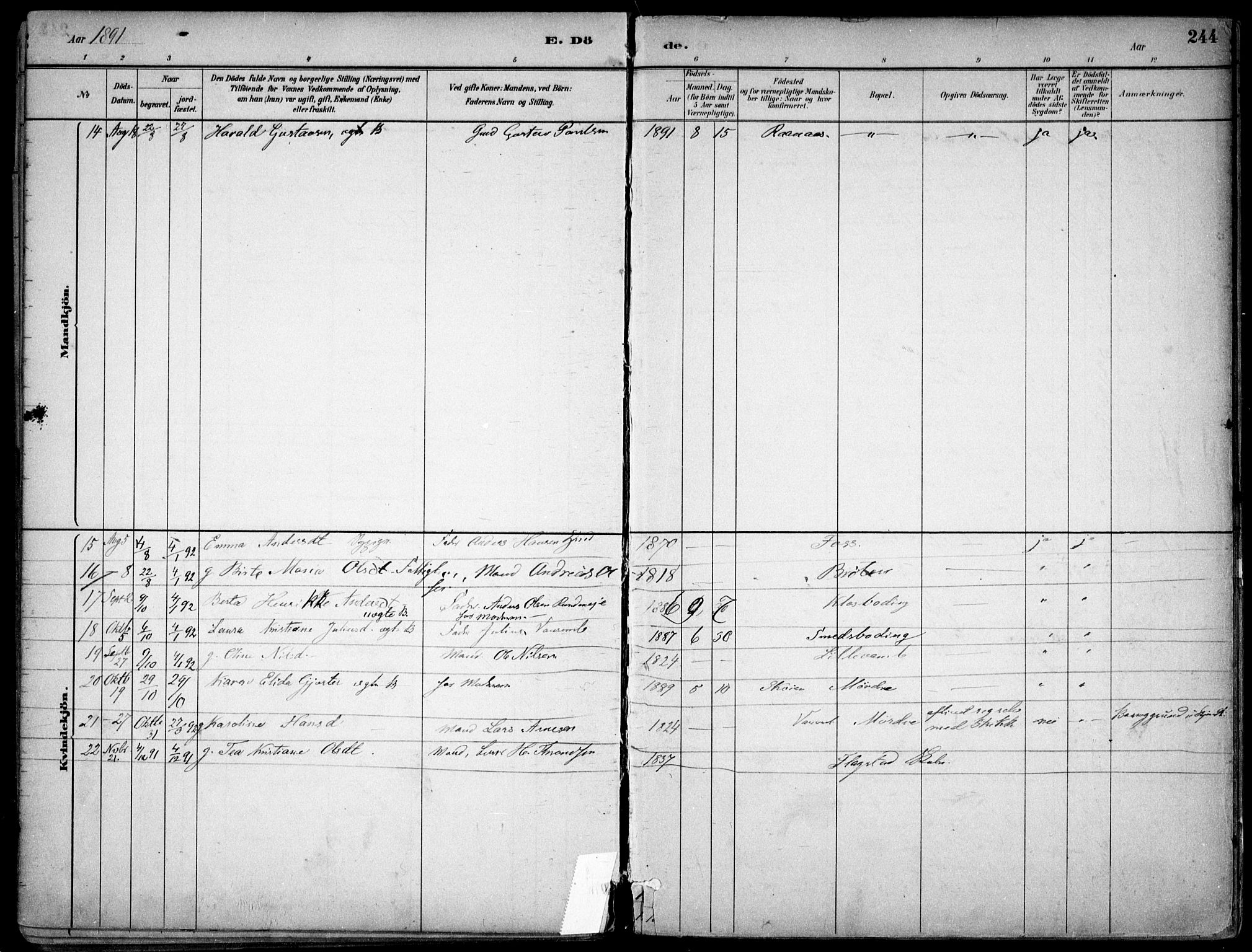 Nes prestekontor Kirkebøker, AV/SAO-A-10410/F/Fc/L0002: Parish register (official) no. IIi 2, 1882-1916, p. 244