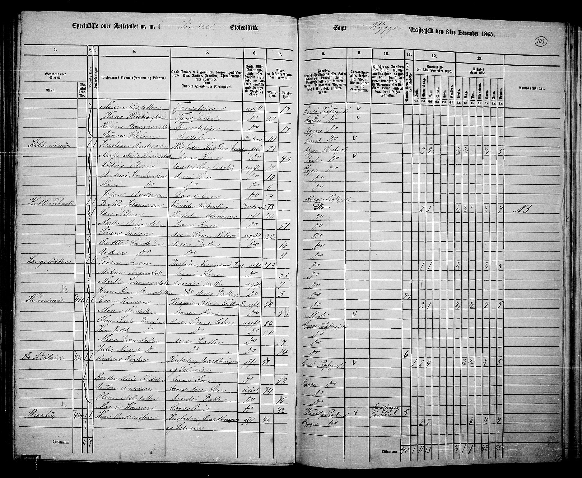 RA, 1865 census for Rygge, 1865, p. 46