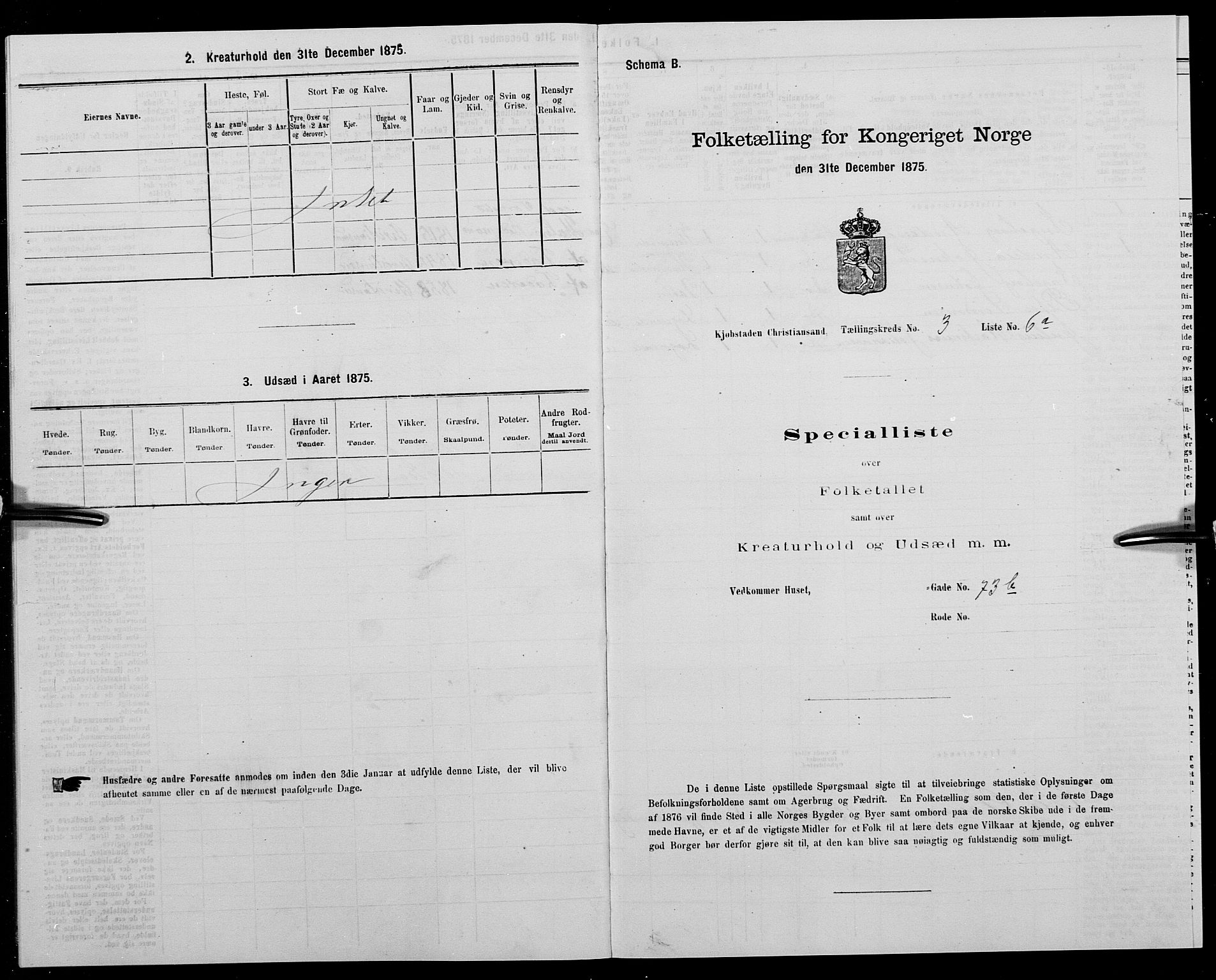 SAK, 1875 census for 1001P Kristiansand, 1875, p. 304