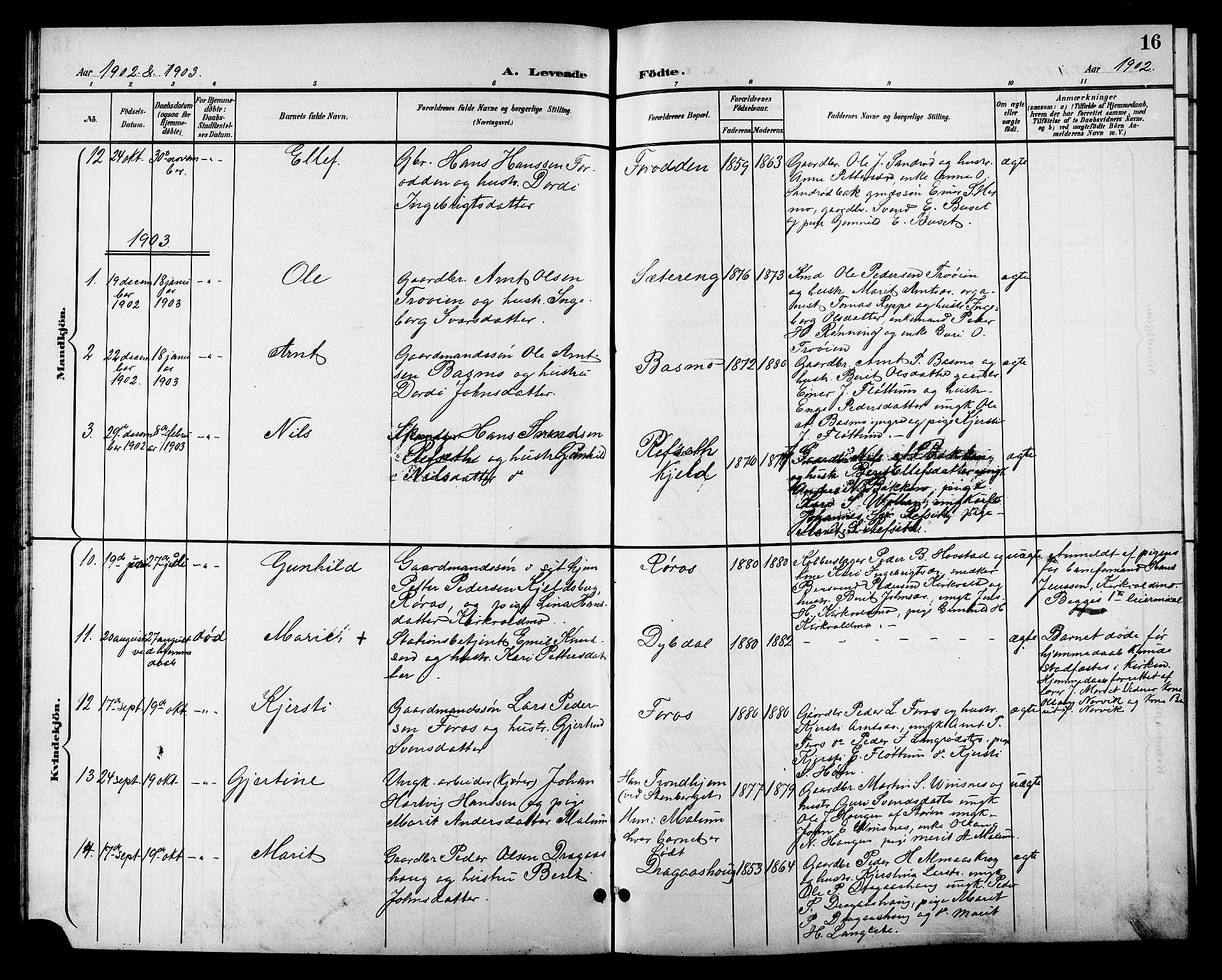 Ministerialprotokoller, klokkerbøker og fødselsregistre - Sør-Trøndelag, SAT/A-1456/688/L1029: Parish register (copy) no. 688C04, 1899-1915, p. 16