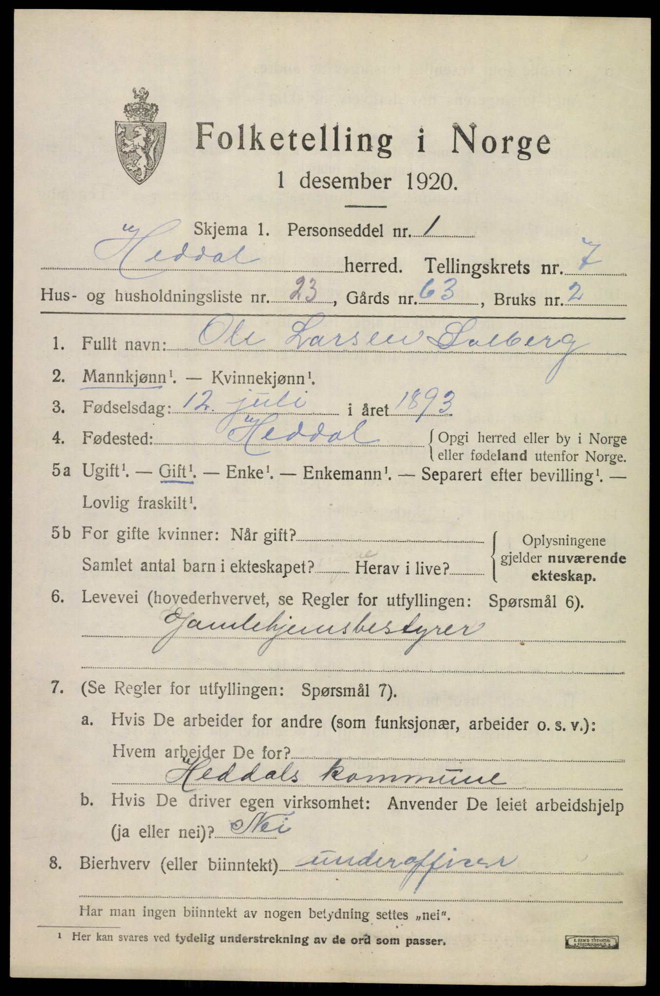 SAKO, 1920 census for Heddal, 1920, p. 5666