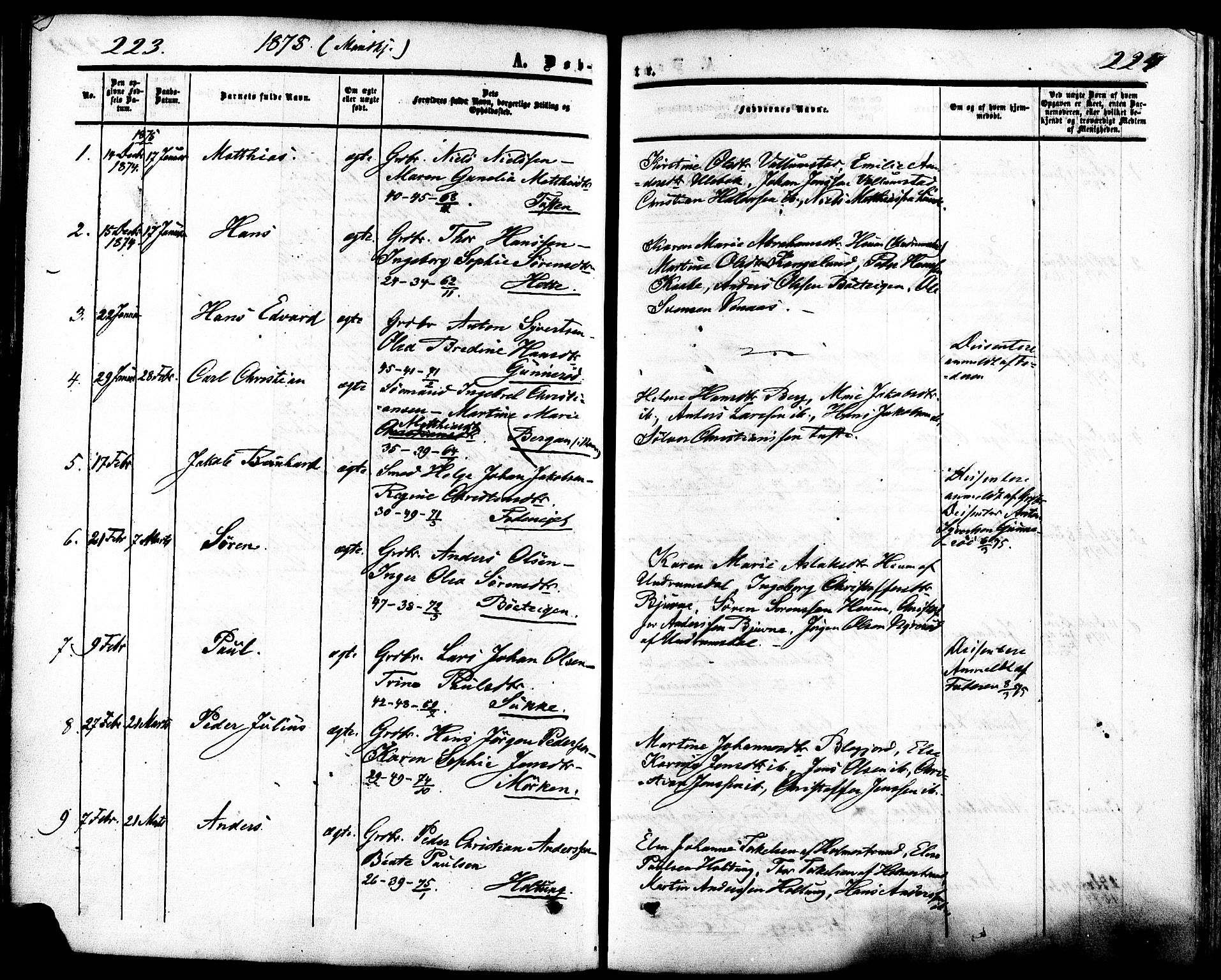 Ramnes kirkebøker, AV/SAKO-A-314/F/Fa/L0006: Parish register (official) no. I 6, 1862-1877, p. 223-224