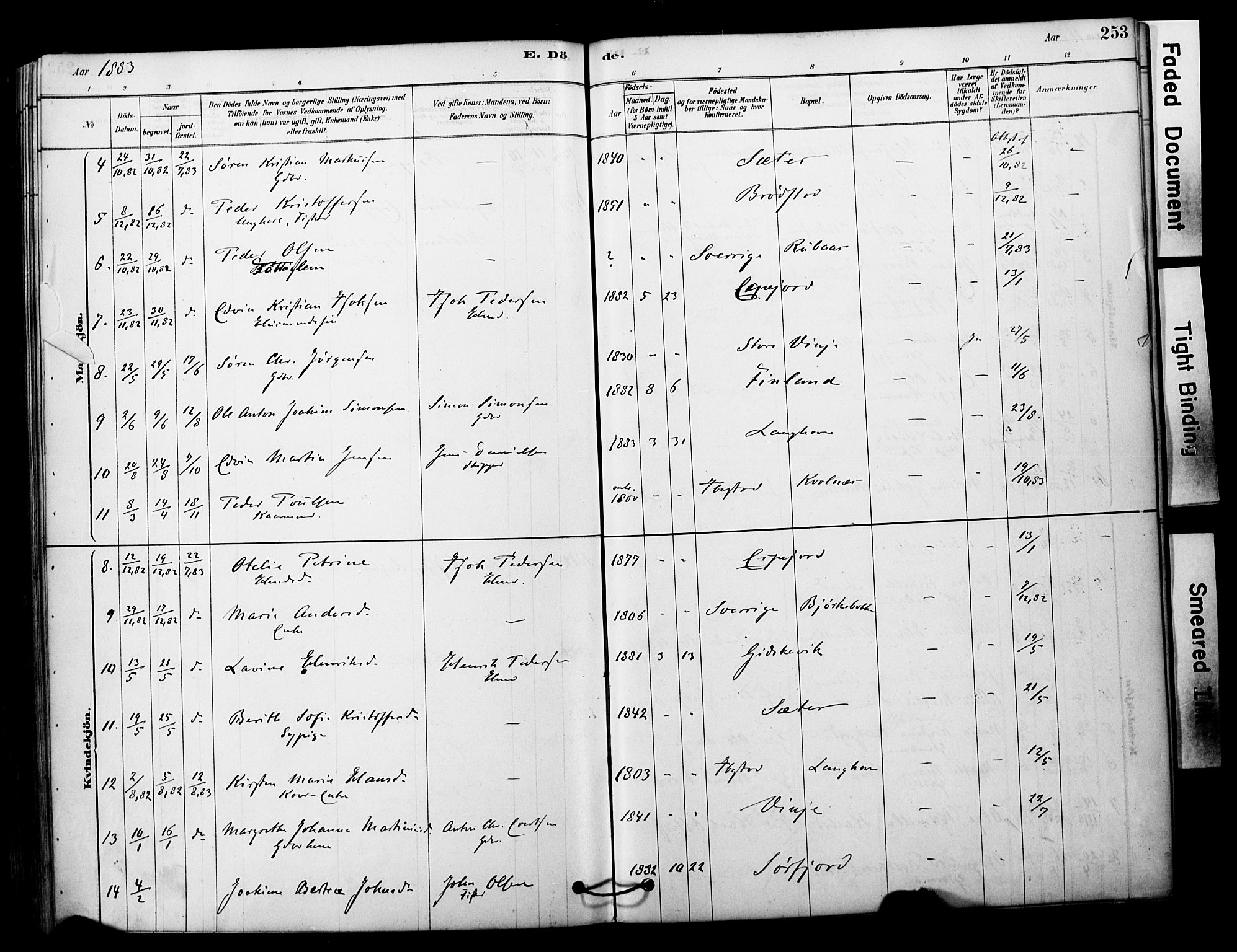 Tranøy sokneprestkontor, SATØ/S-1313/I/Ia/Iaa/L0011kirke: Parish register (official) no. 11, 1878-1904, p. 253