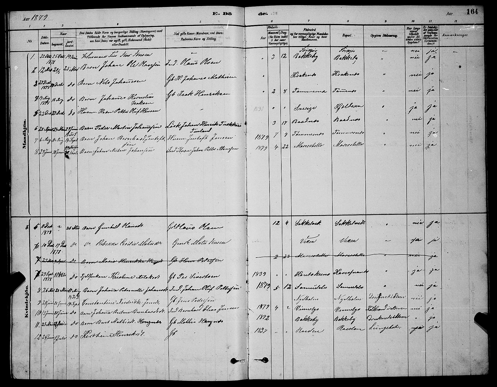 Skjervøy sokneprestkontor, SATØ/S-1300/H/Ha/Hab/L0020klokker: Parish register (copy) no. 20, 1878-1892, p. 164