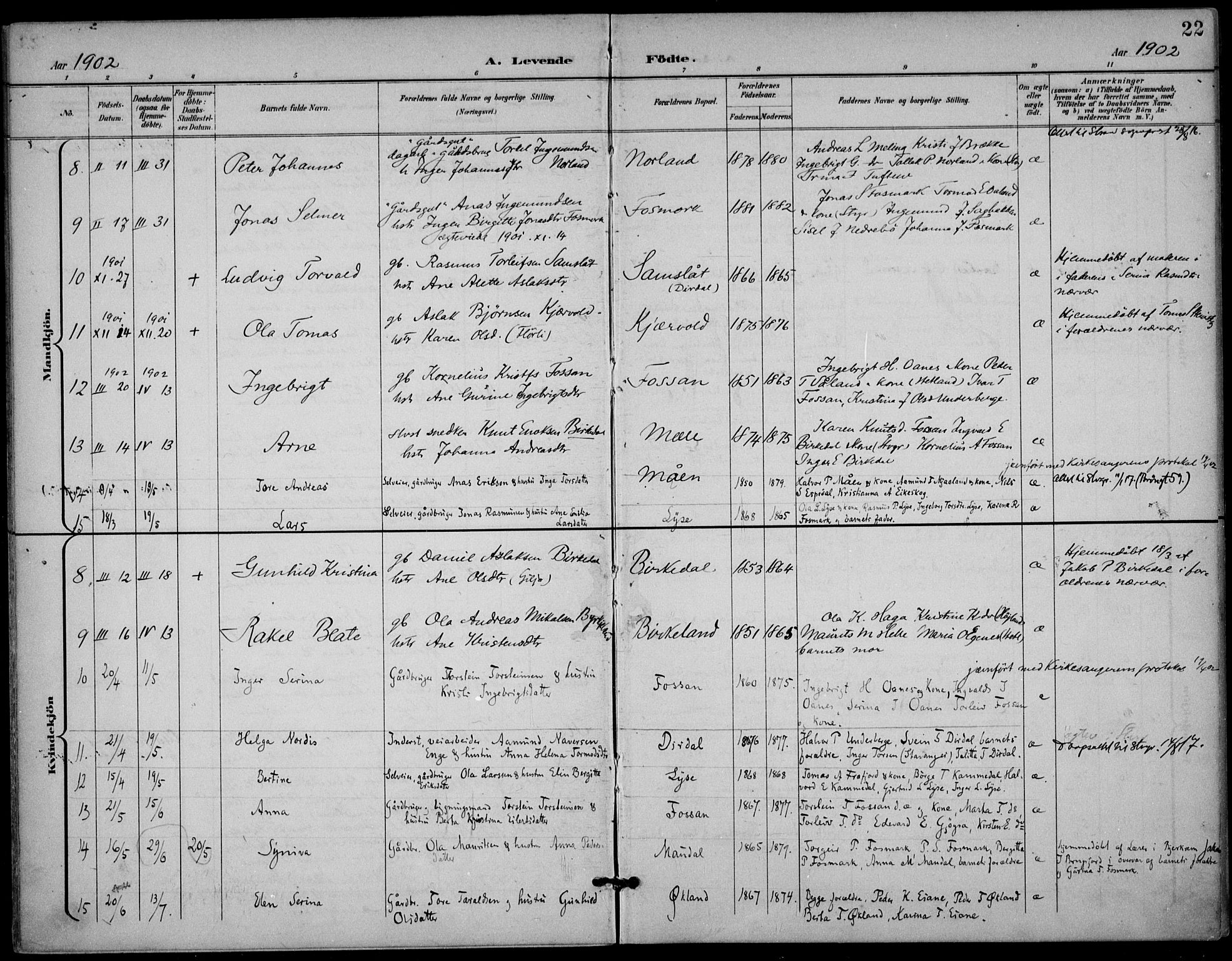 Høgsfjord sokneprestkontor, AV/SAST-A-101624/H/Ha/Haa/L0007: Parish register (official) no. A 7, 1898-1917, p. 22