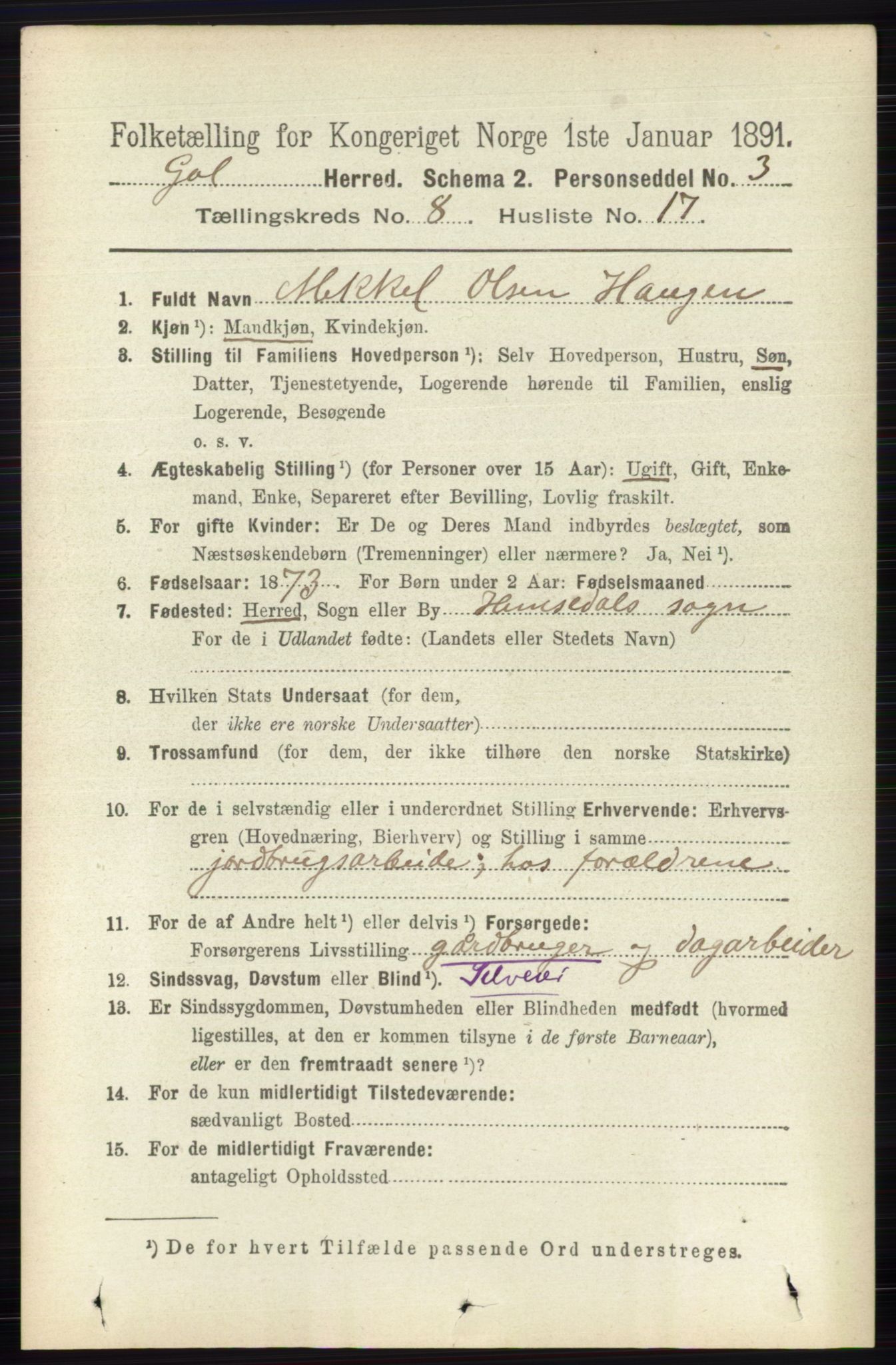 RA, 1891 census for 0617 Gol og Hemsedal, 1891, p. 3122