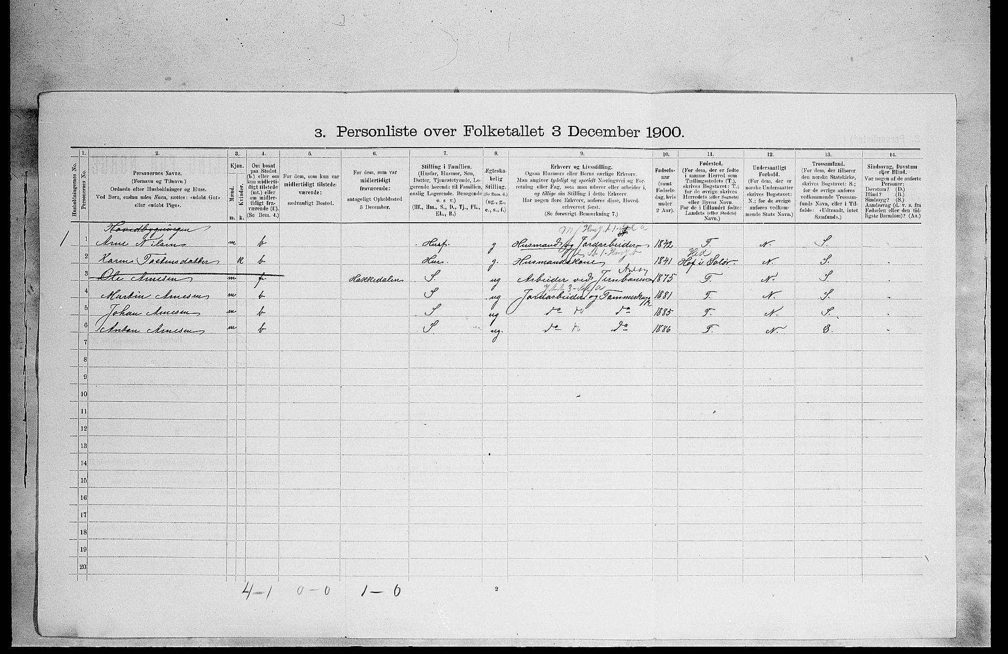 SAH, 1900 census for Grue, 1900, p. 173