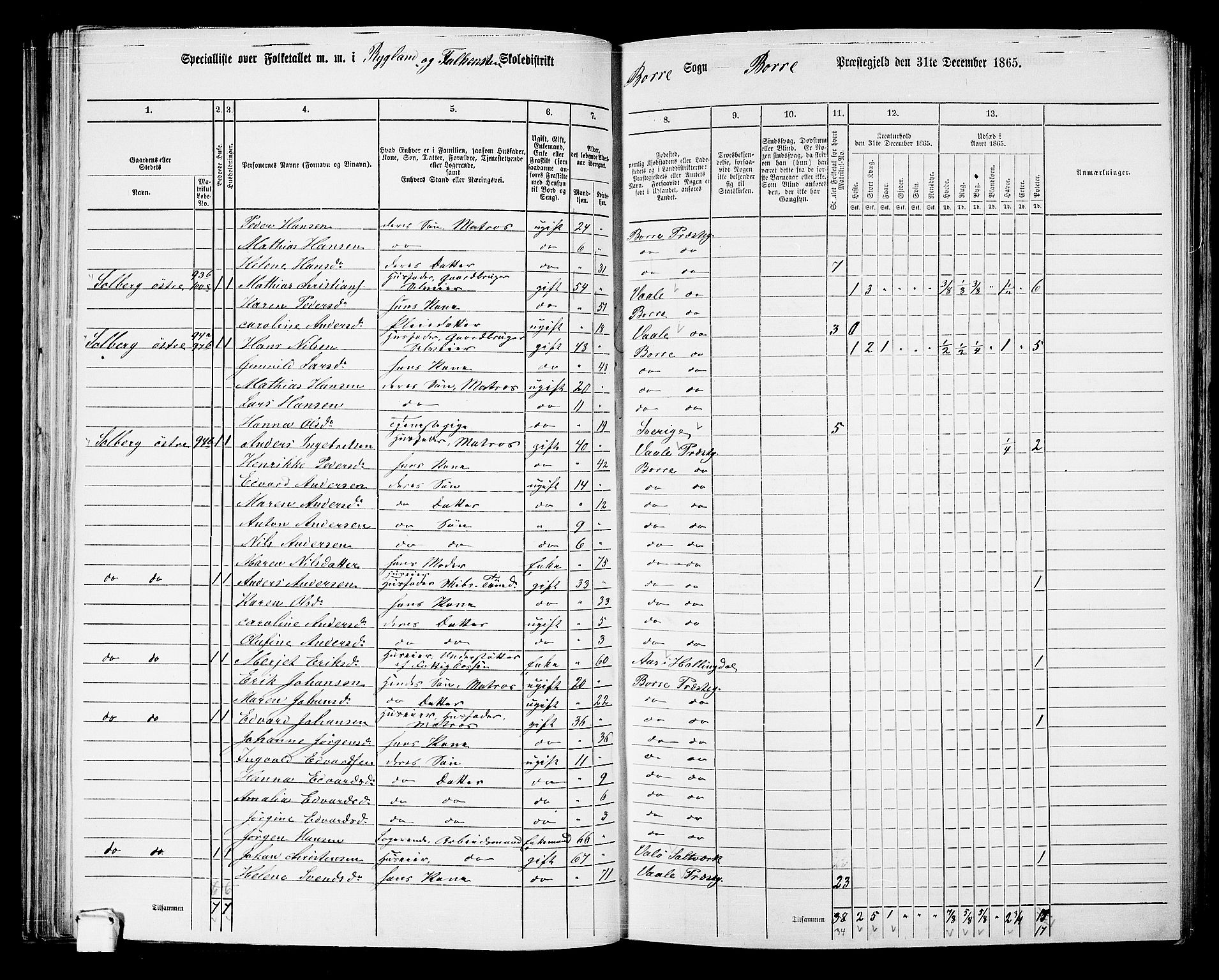 RA, 1865 census for Borre, 1865, p. 110