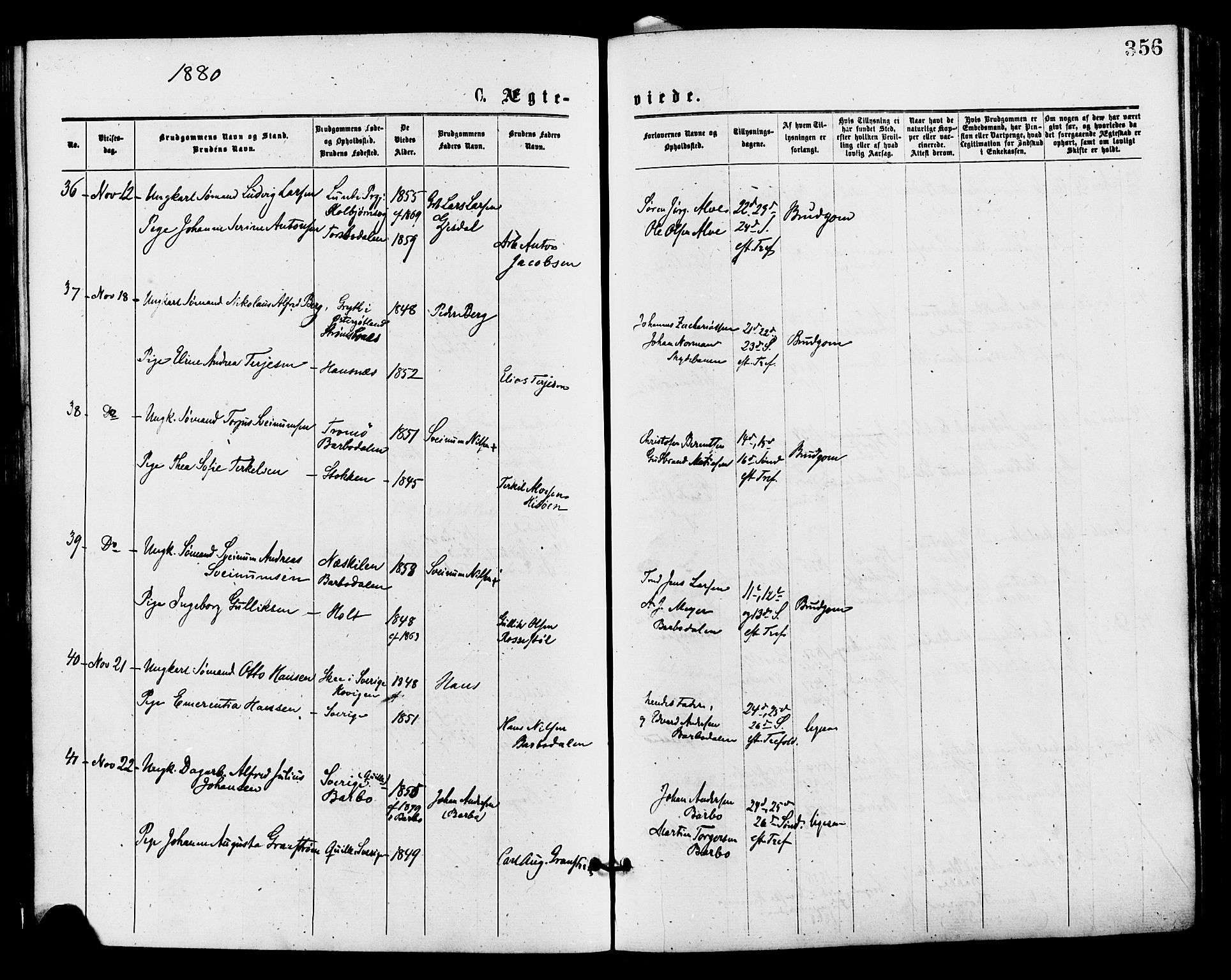 Barbu sokneprestkontor, AV/SAK-1111-0003/F/Fa/L0001: Parish register (official) no. A 1 /1, 1878-1883, p. 356