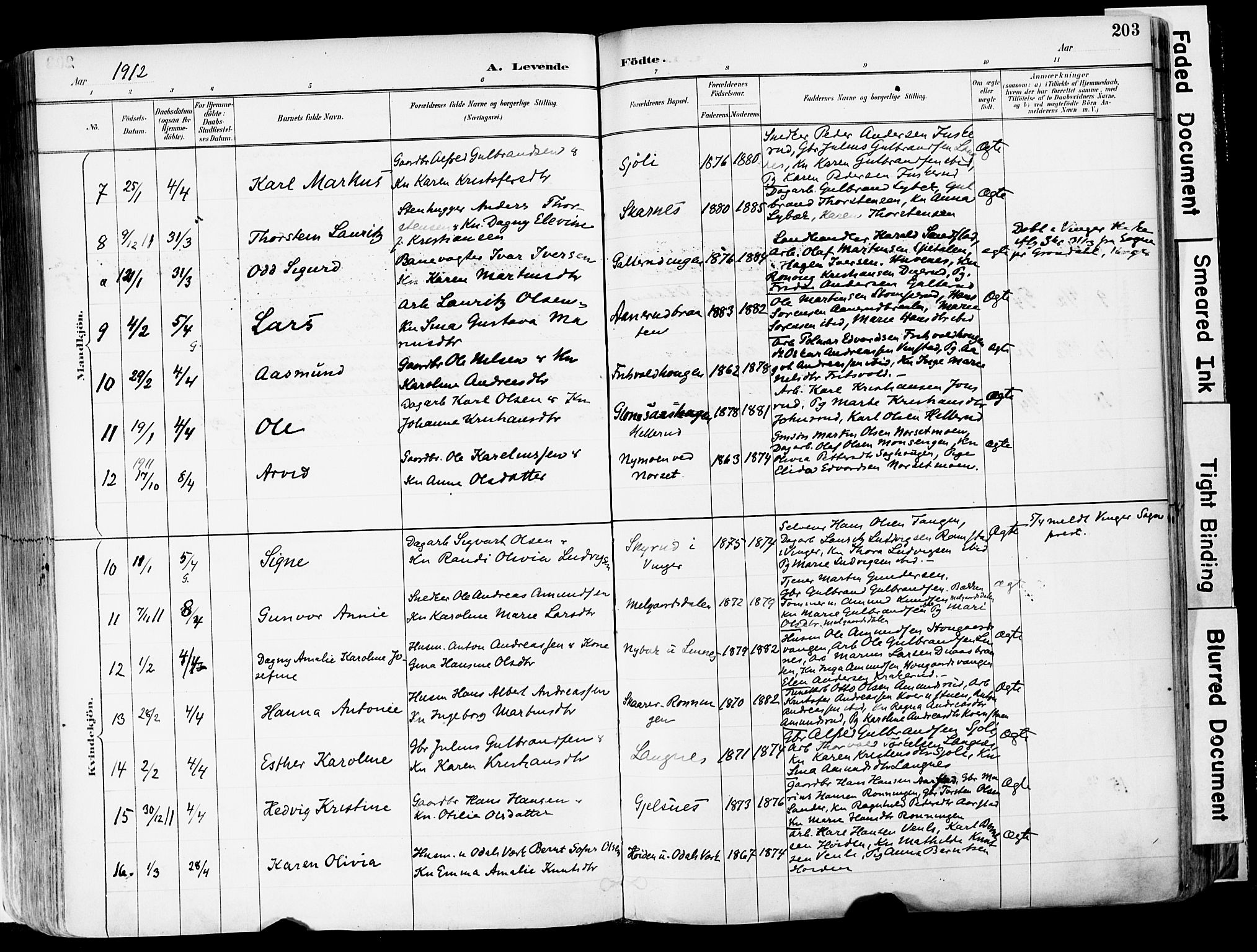 Sør-Odal prestekontor, SAH/PREST-030/H/Ha/Haa/L0006: Parish register (official) no. 6, 1886-1931, p. 203