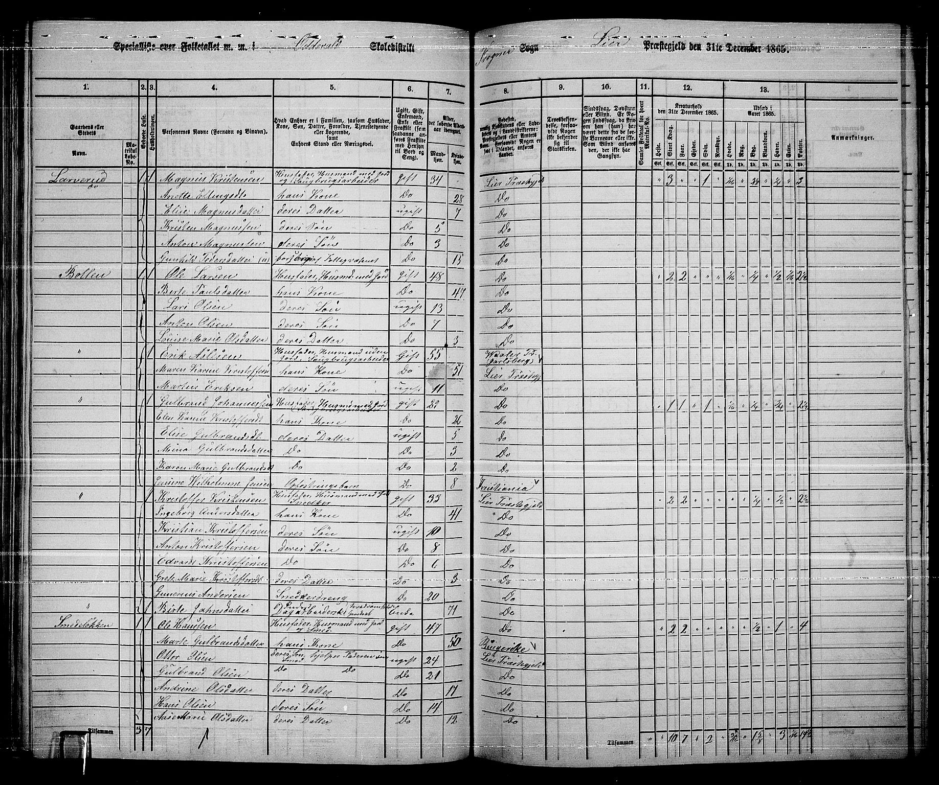 RA, 1865 census for Lier, 1865, p. 111