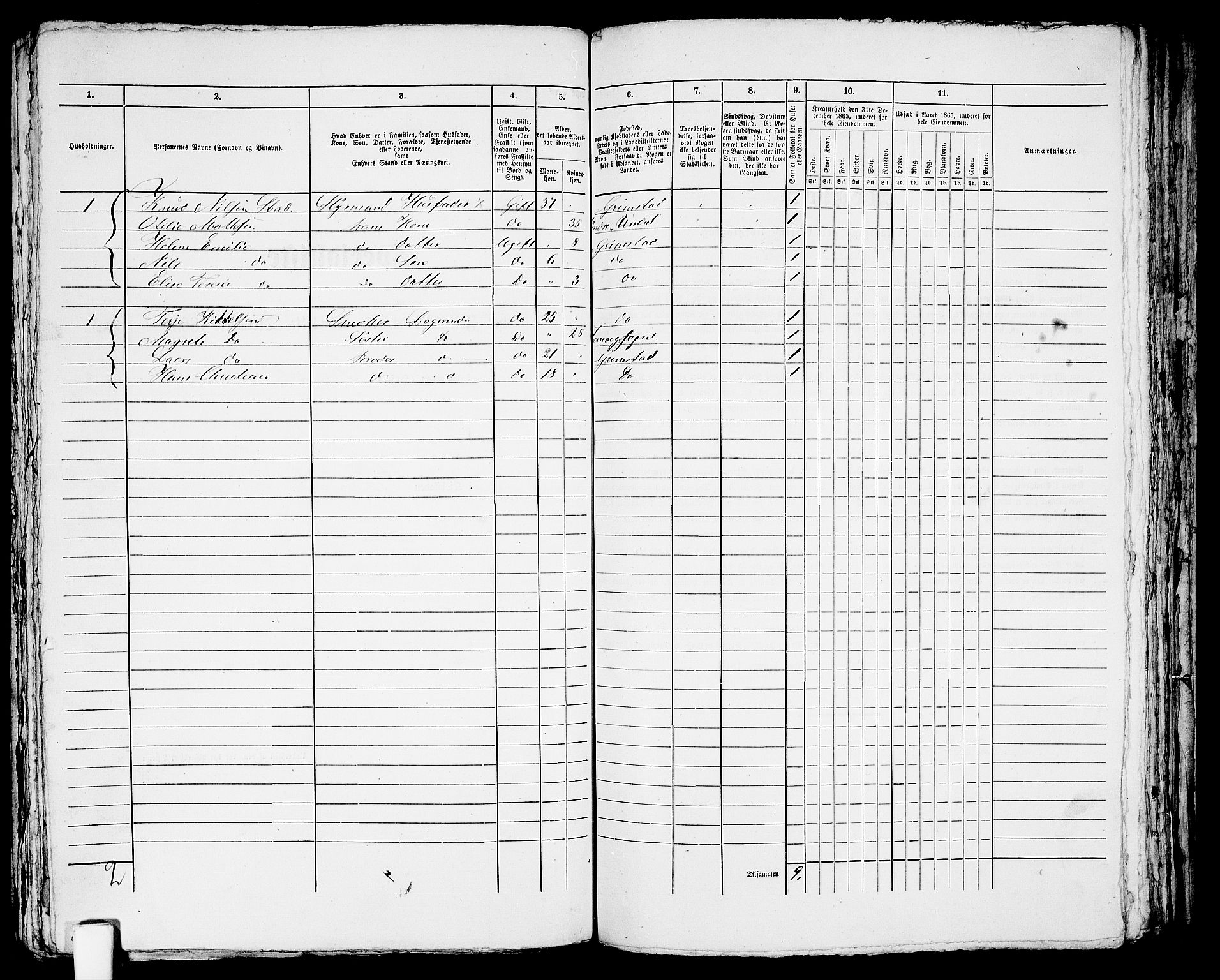 RA, 1865 census for Fjære/Grimstad, 1865, p. 250