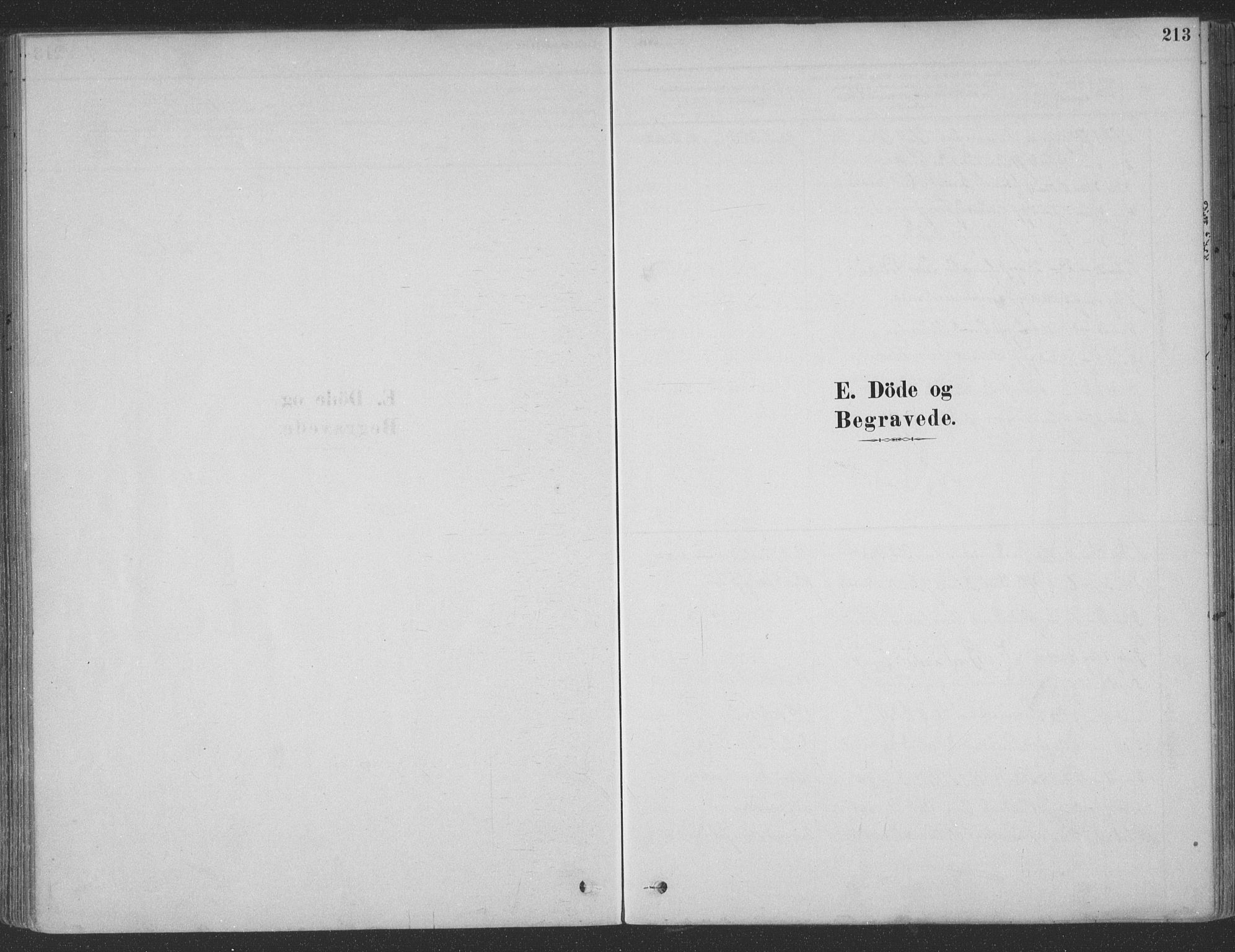 Ministerialprotokoller, klokkerbøker og fødselsregistre - Møre og Romsdal, SAT/A-1454/547/L0604: Parish register (official) no. 547A06, 1878-1906, p. 213