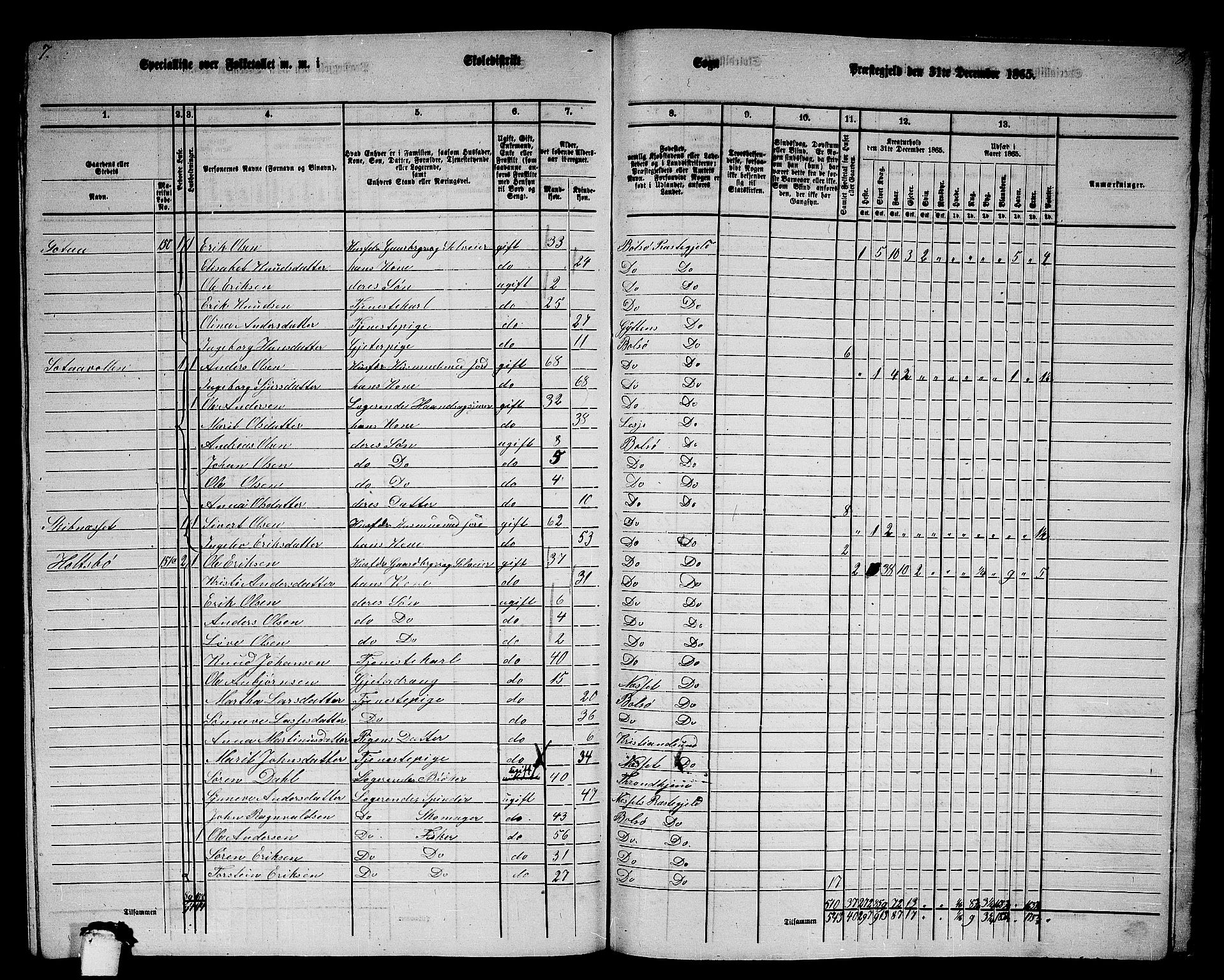 RA, 1865 census for Bolsøy, 1865, p. 127