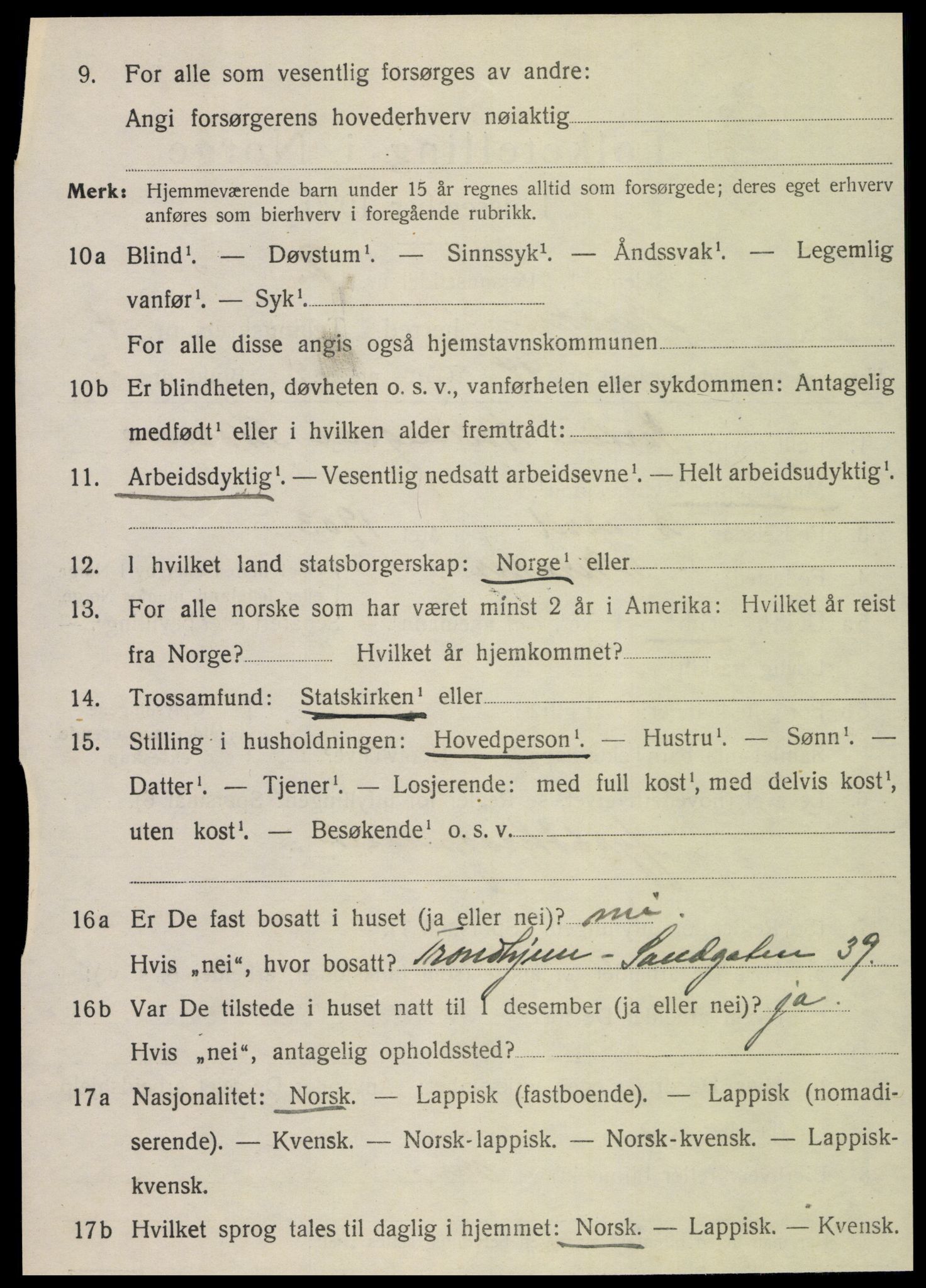 SAT, 1920 census for Meråker, 1920, p. 4029