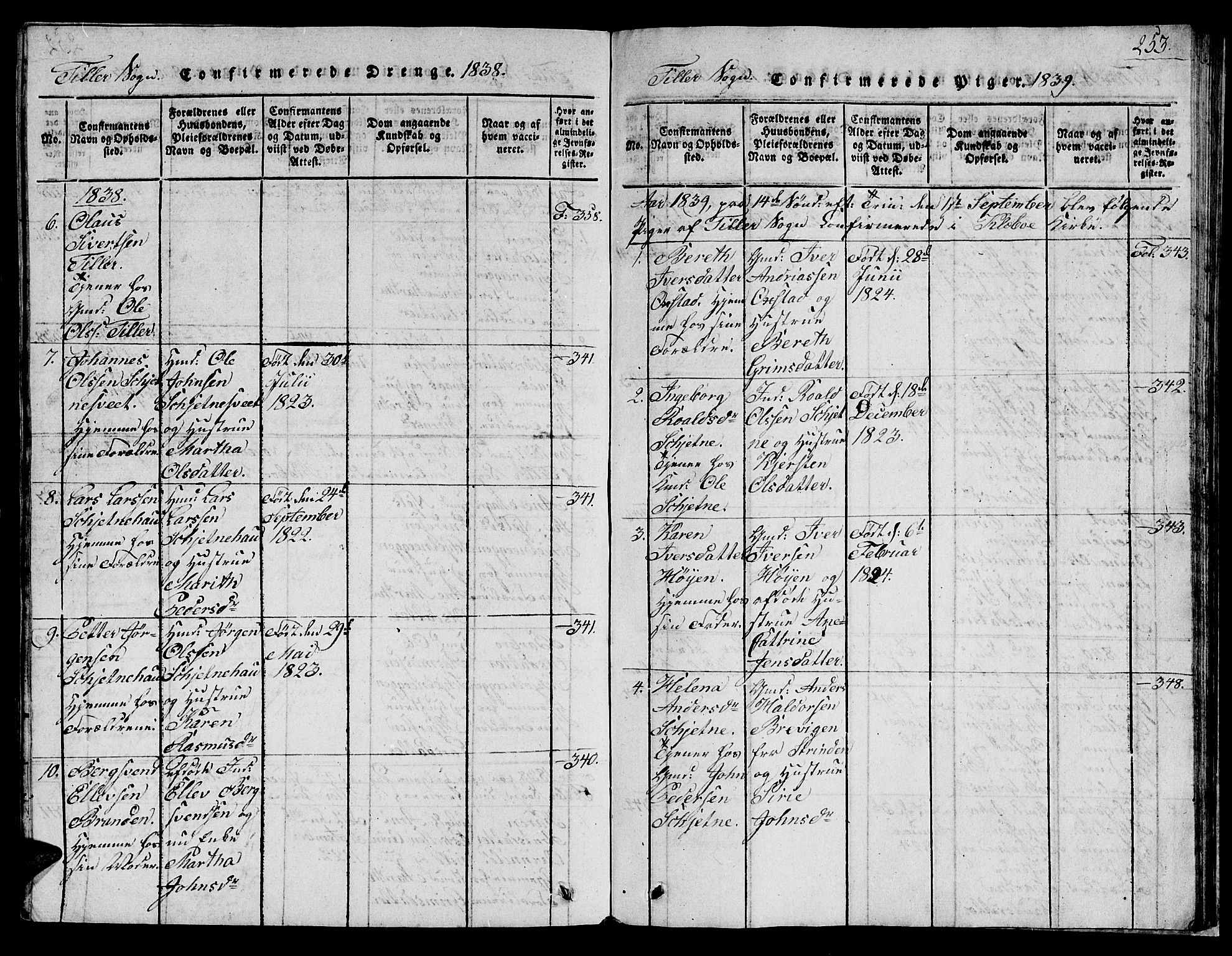 Ministerialprotokoller, klokkerbøker og fødselsregistre - Sør-Trøndelag, SAT/A-1456/621/L0458: Parish register (copy) no. 621C01, 1816-1865, p. 253