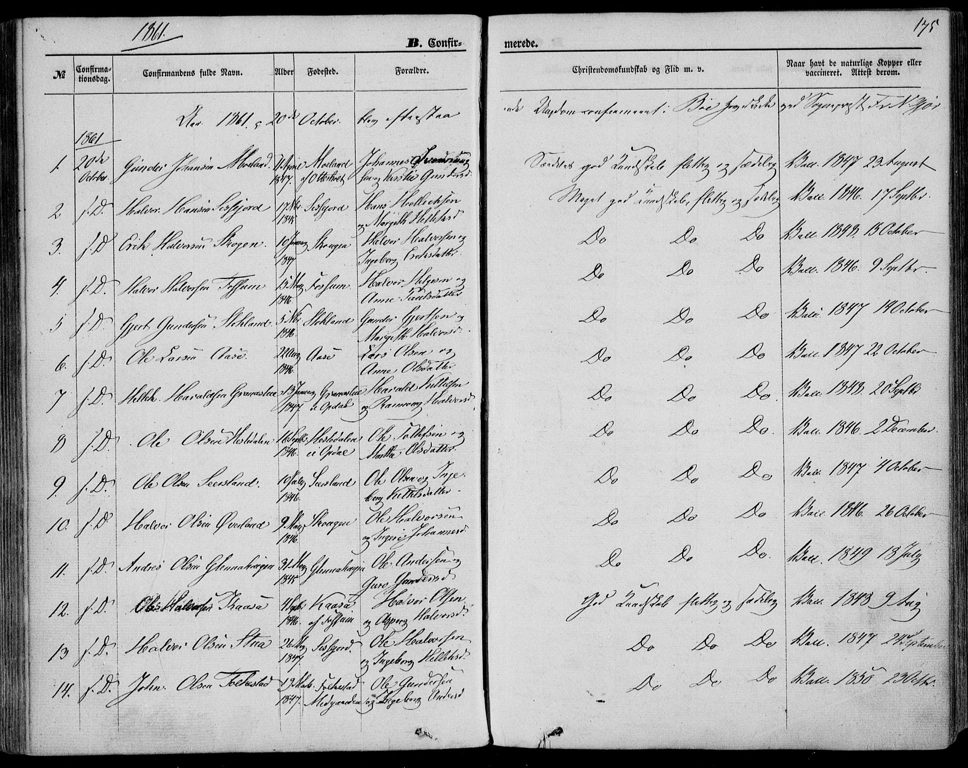 Bø kirkebøker, SAKO/A-257/F/Fa/L0009: Parish register (official) no. 9, 1862-1879, p. 175
