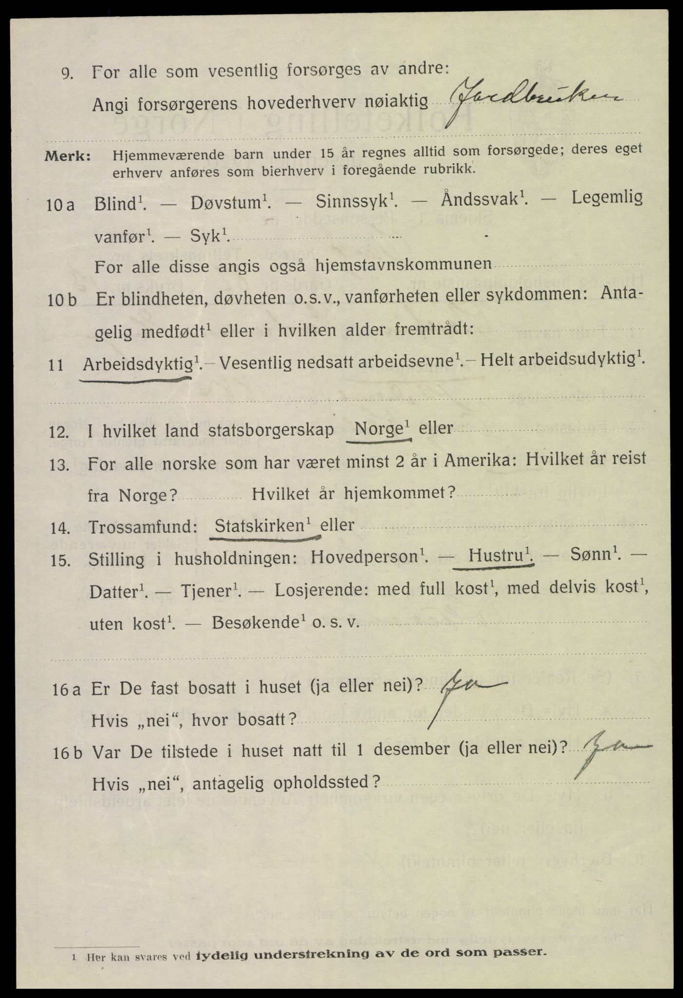 SAH, 1920 census for Vang (Hedmark), 1920, p. 17006