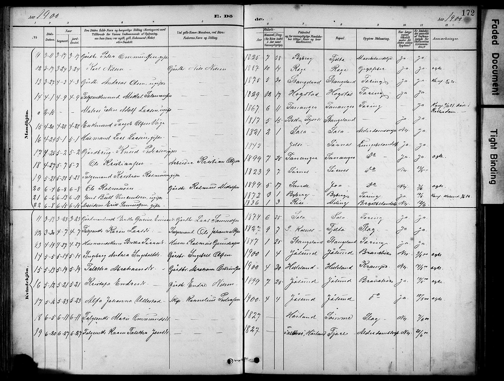 Håland sokneprestkontor, AV/SAST-A-101802/001/30BA/L0012: Parish register (official) no. A 11, 1889-1900, p. 172