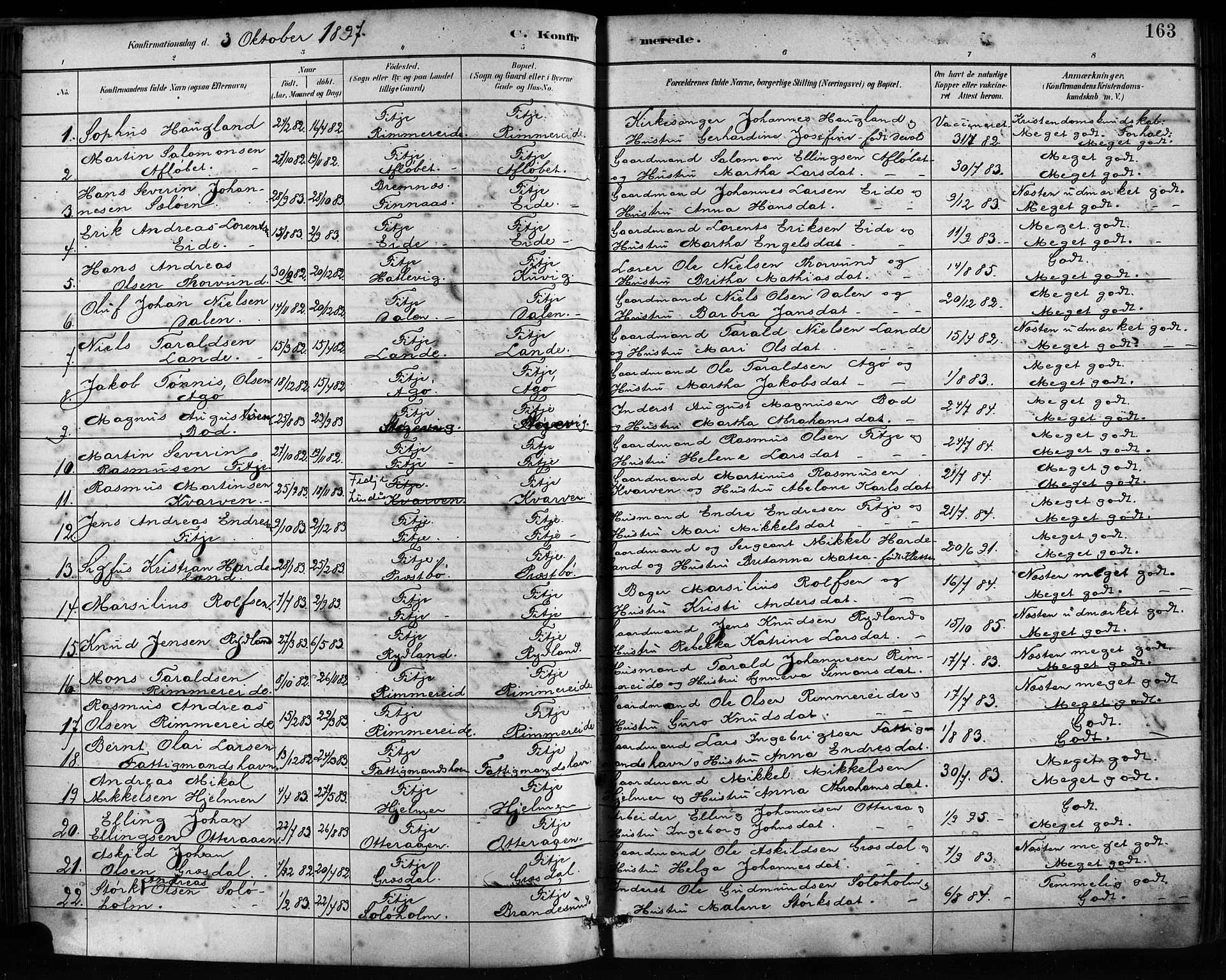 Fitjar sokneprestembete, AV/SAB-A-99926: Parish register (official) no. A 2, 1882-1899, p. 163