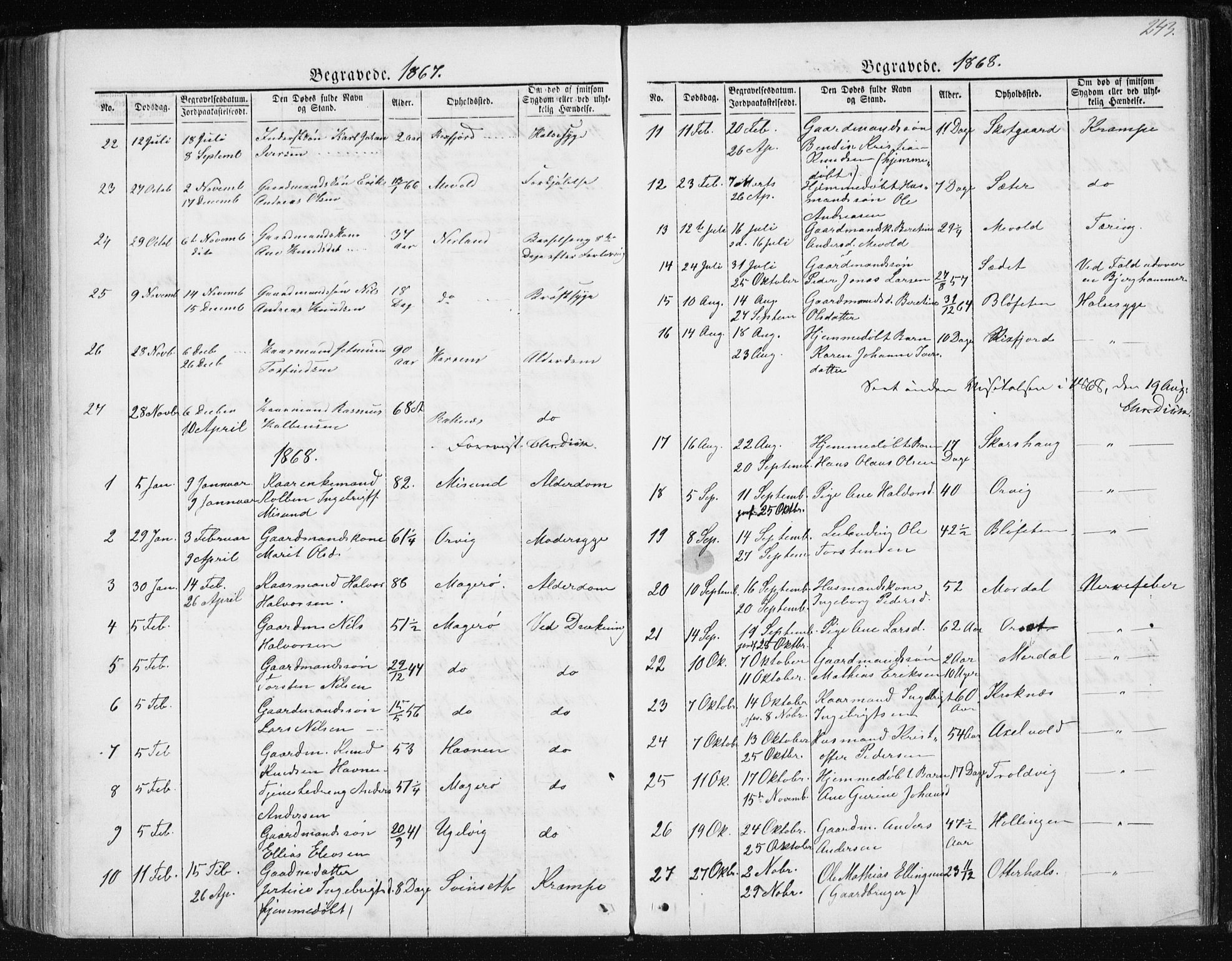 Ministerialprotokoller, klokkerbøker og fødselsregistre - Møre og Romsdal, SAT/A-1454/560/L0724: Parish register (copy) no. 560C01, 1867-1892, p. 243