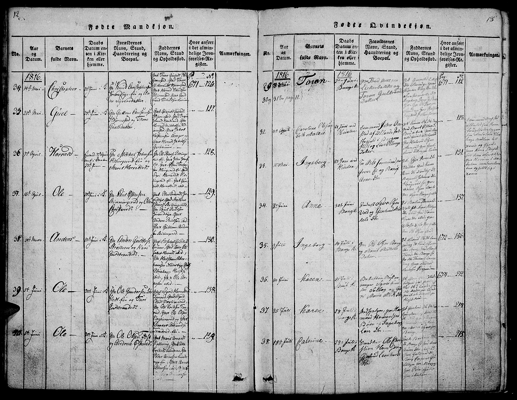 Sør-Aurdal prestekontor, AV/SAH-PREST-128/H/Ha/Hab/L0001: Parish register (copy) no. 1, 1815-1826, p. 12-13