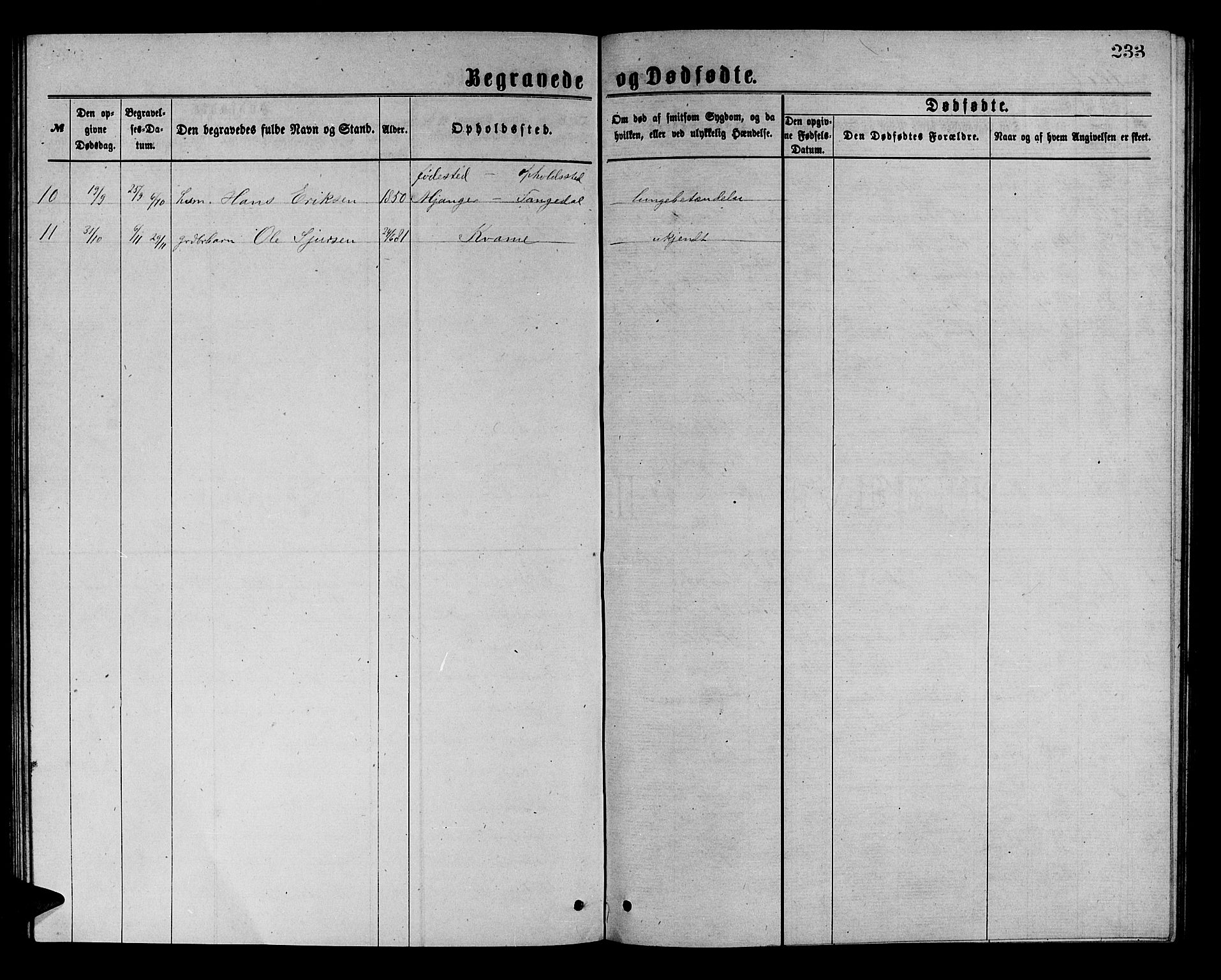 Masfjorden Sokneprestembete, AV/SAB-A-77001: Parish register (copy) no. A 2, 1876-1891, p. 233