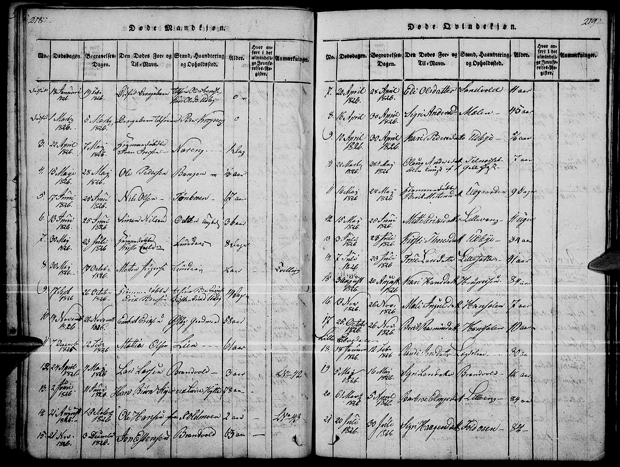 Tynset prestekontor, SAH/PREST-058/H/Ha/Haa/L0018: Parish register (official) no. 18, 1815-1829, p. 218-219