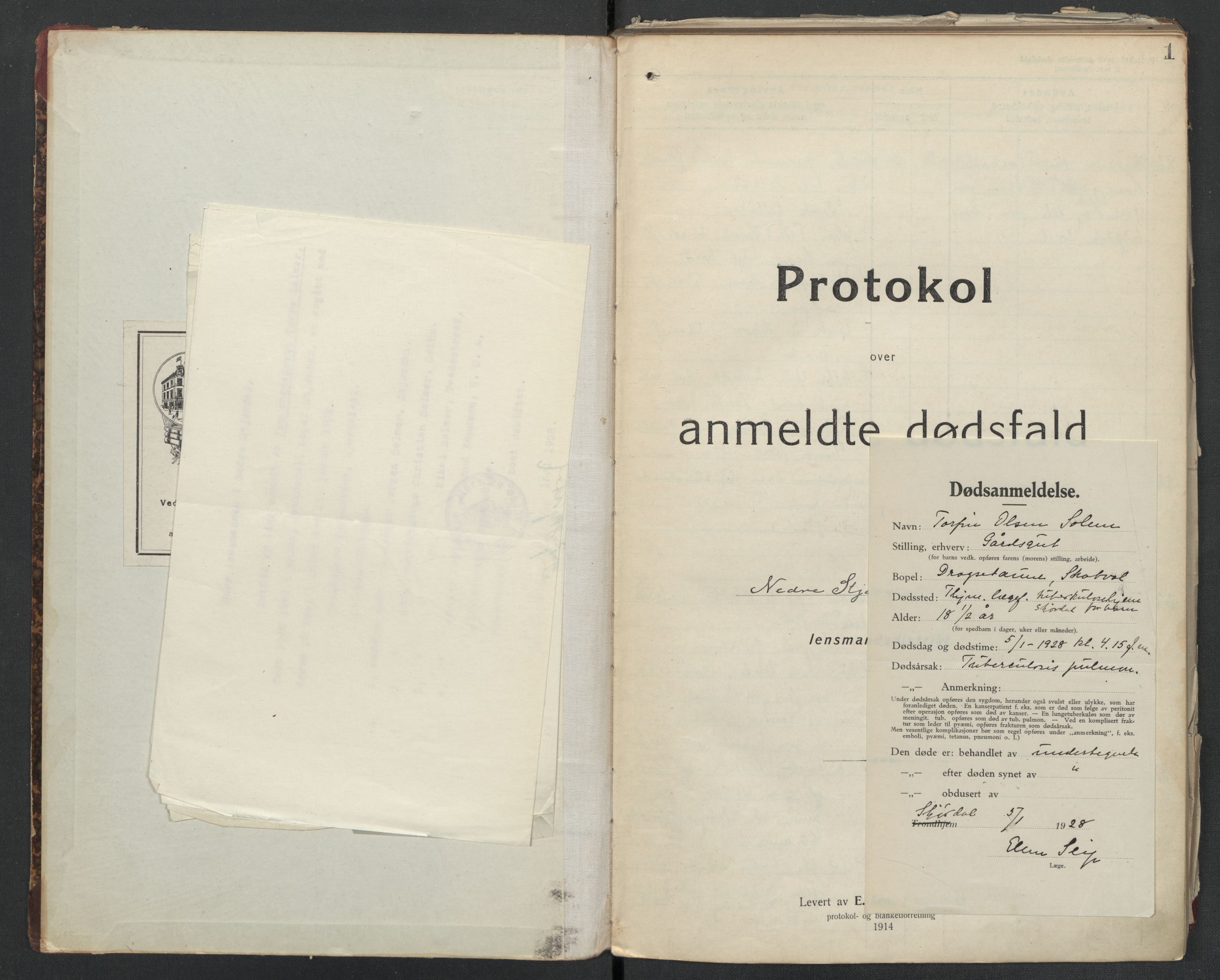Nedre Stjørdal lensmannskontor, SAT/A-1044/02/L0004: 2.01.04 Dødsfallsprotokoller, 1917-1921, p. 1