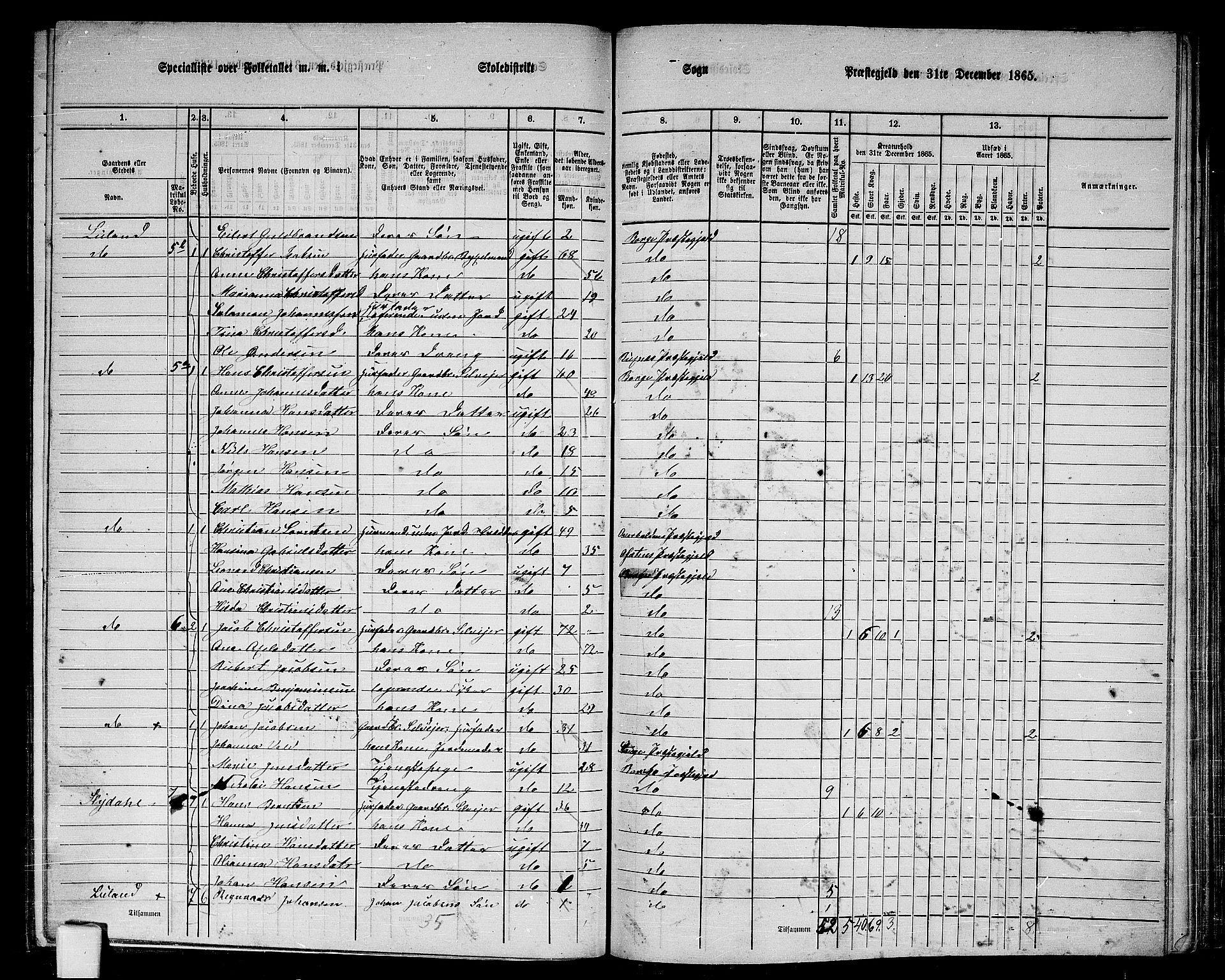 RA, 1865 census for Borge, 1865, p. 27