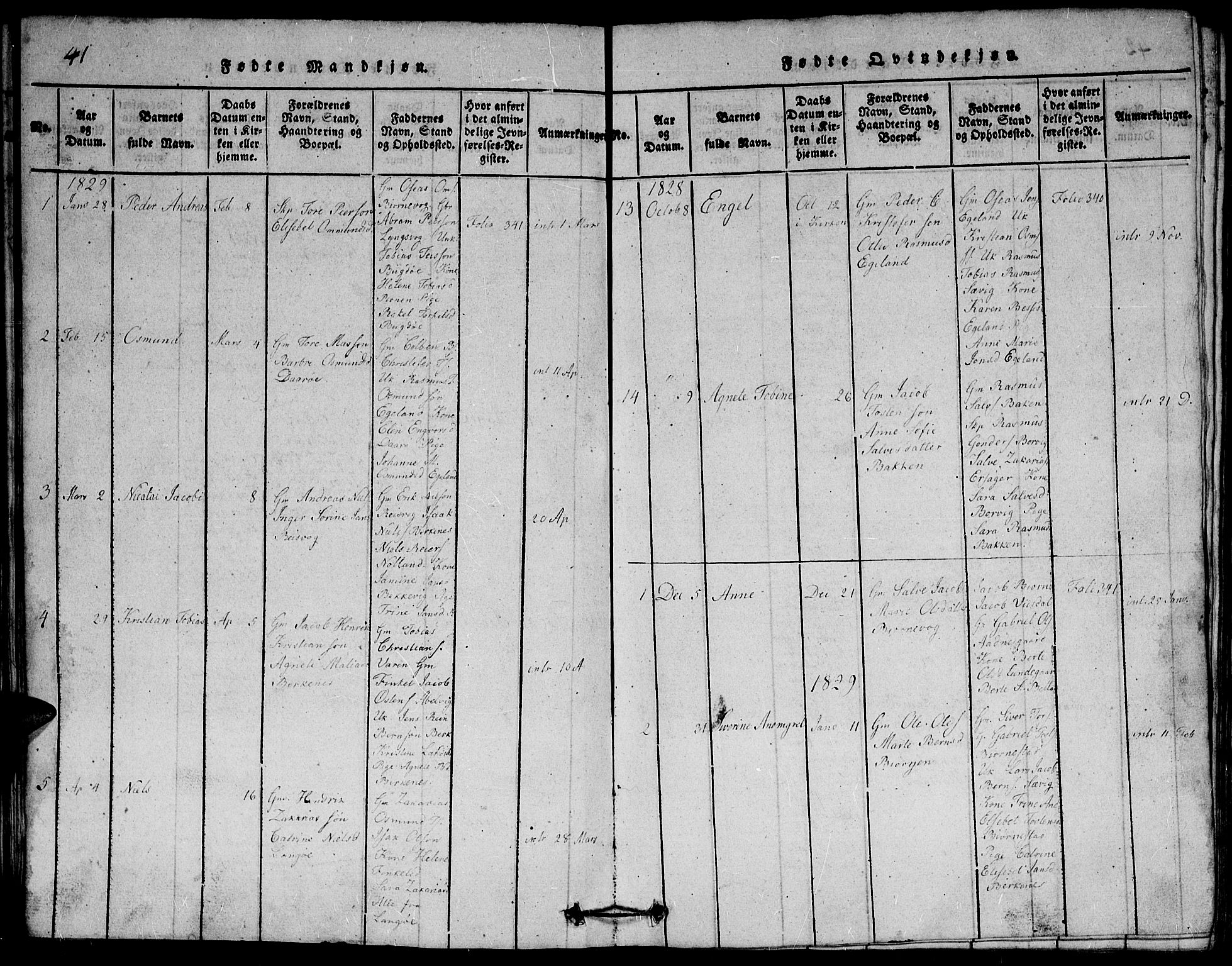 Herad sokneprestkontor, SAK/1111-0018/F/Fb/Fbb/L0001: Parish register (copy) no. B 1, 1815-1852, p. 41